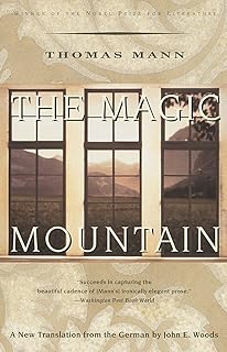The Magic Mountain (Vintage International)