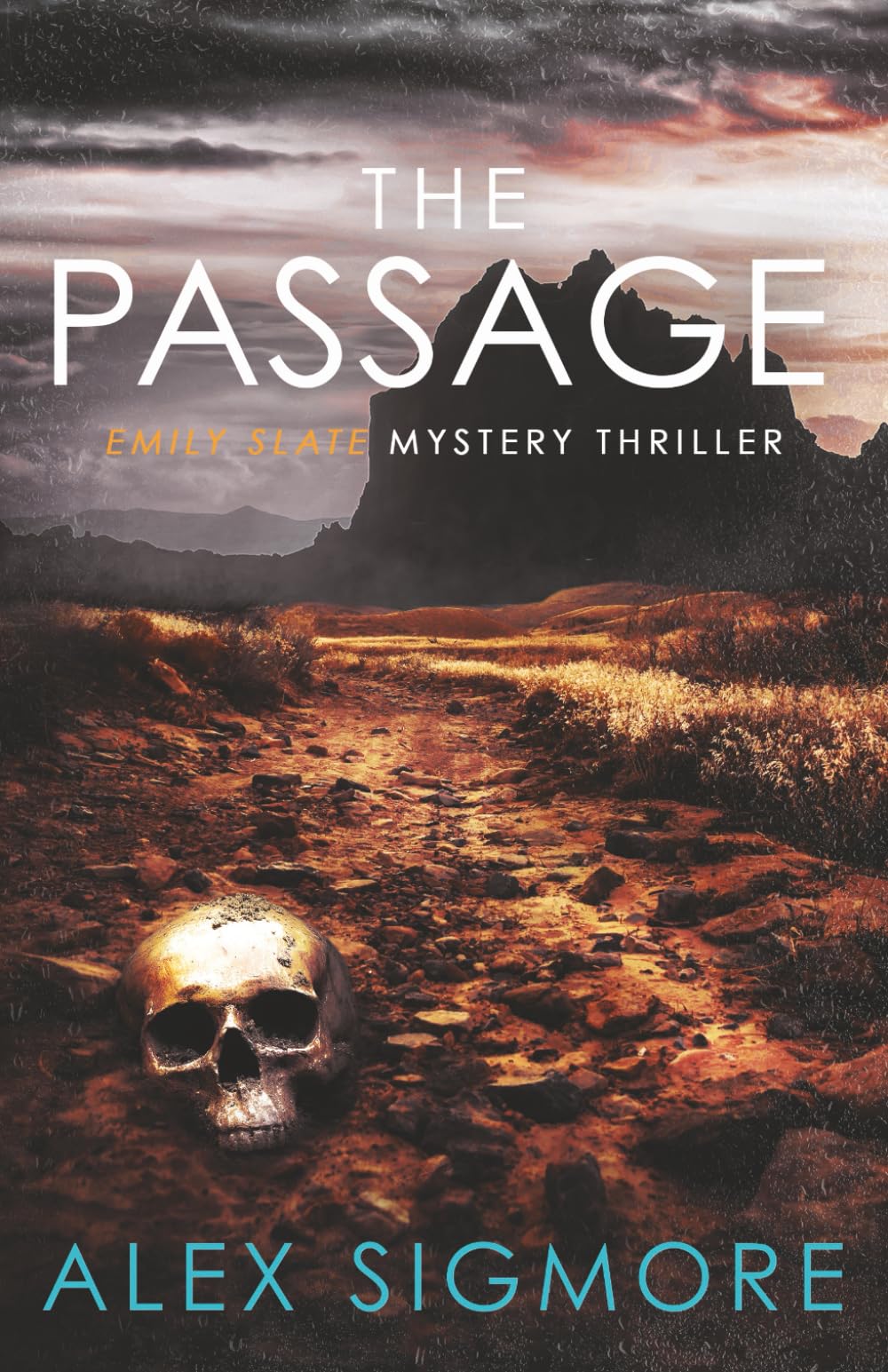 The Passage: 16 (Emily Slate FBI Mystery Thriller)