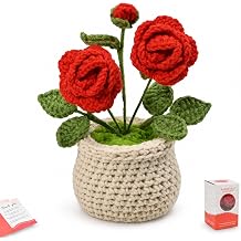 Handmade Crochet Flowers, Red Rose Flower Pot for Her &amp; Girlfriend | Handmade roses decor, romantic gift for girlfriend or wife, elegant desk decor symbolizing love, warmth and lasting memories.