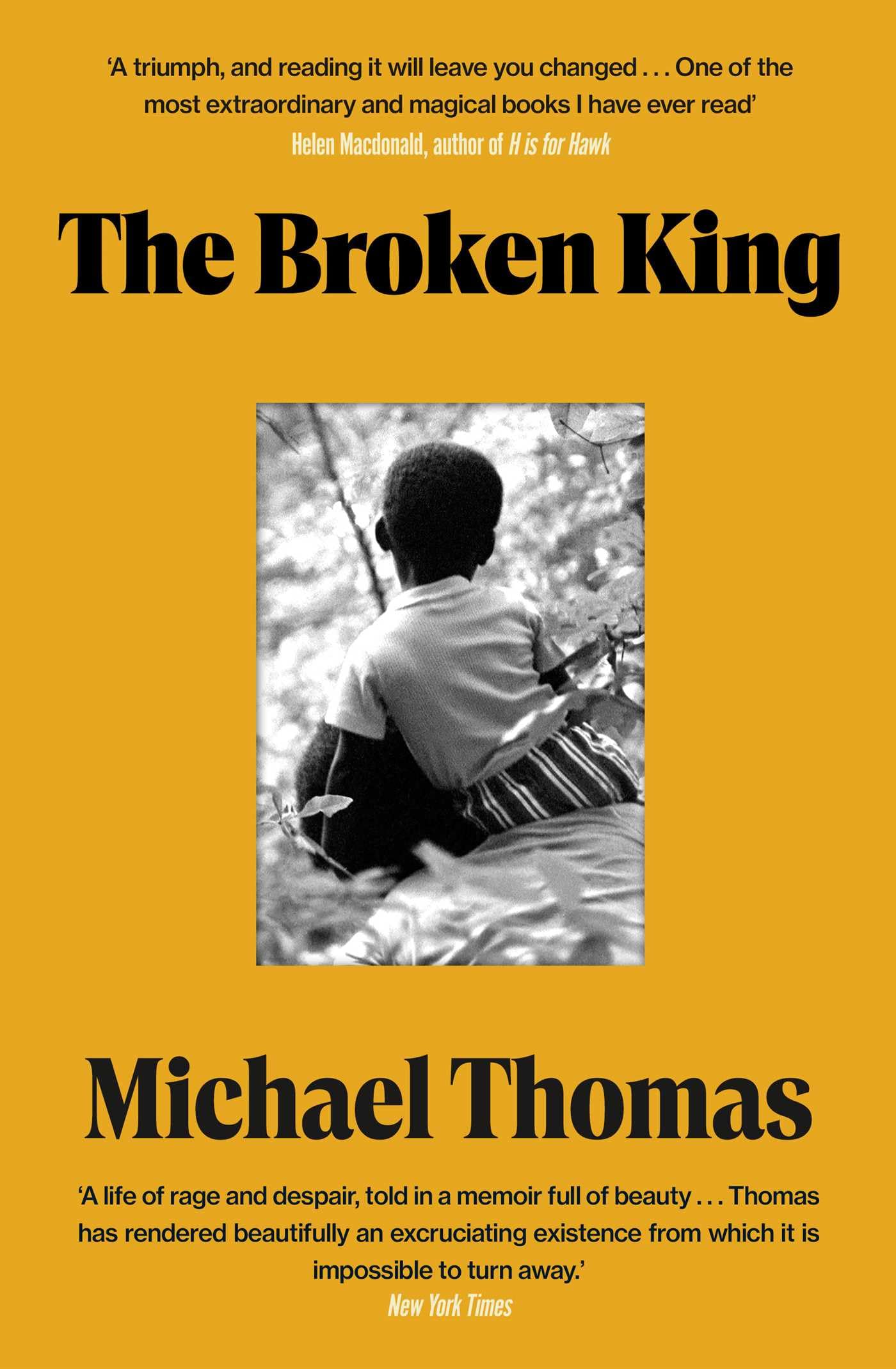 The Broken King : 'An Extraordinary Read' Guardian