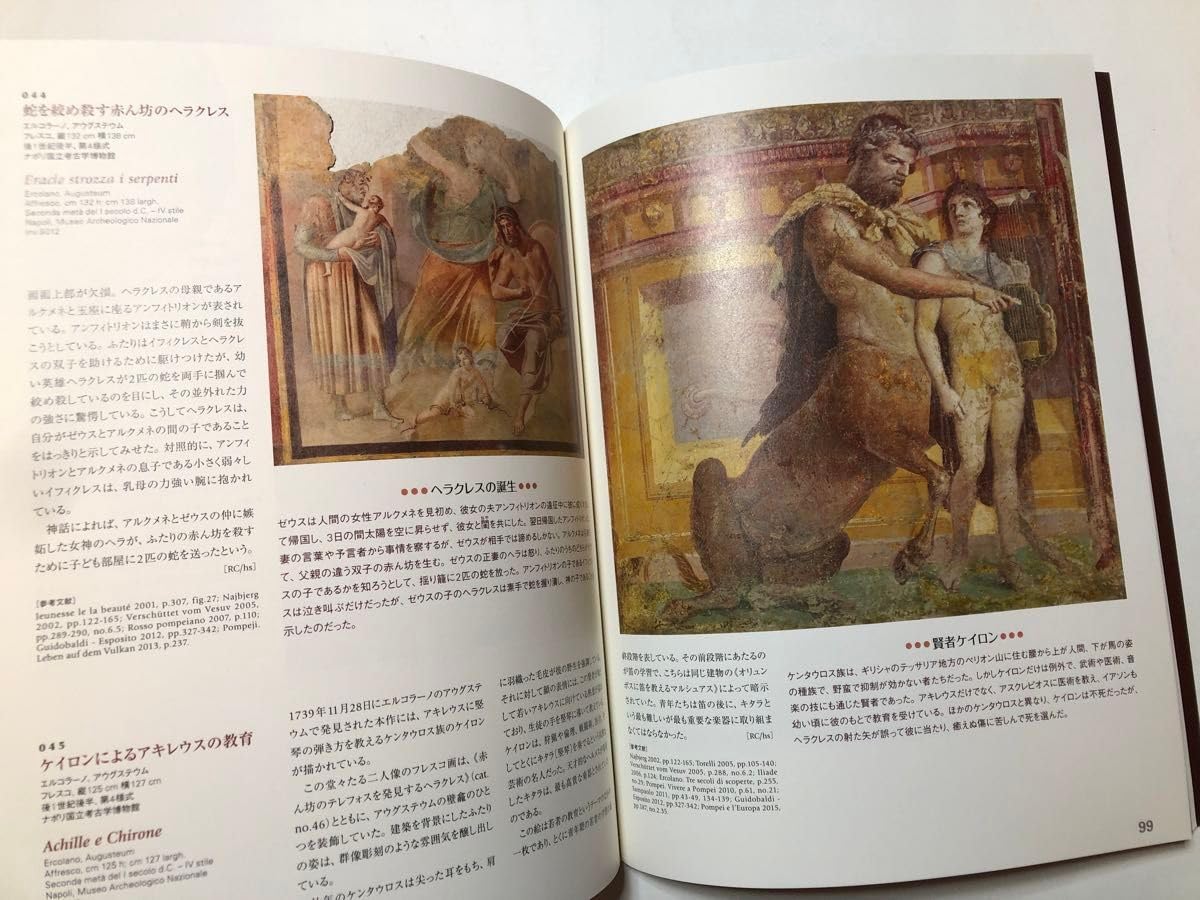 Amazon.co.jp: 世界遺産 ポンペイの壁画展 図録 画集 芸術 美術