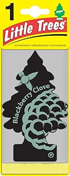 Little Trees U1P-17343 BlackBerry Clove Hanging Paper Car Air Freshener