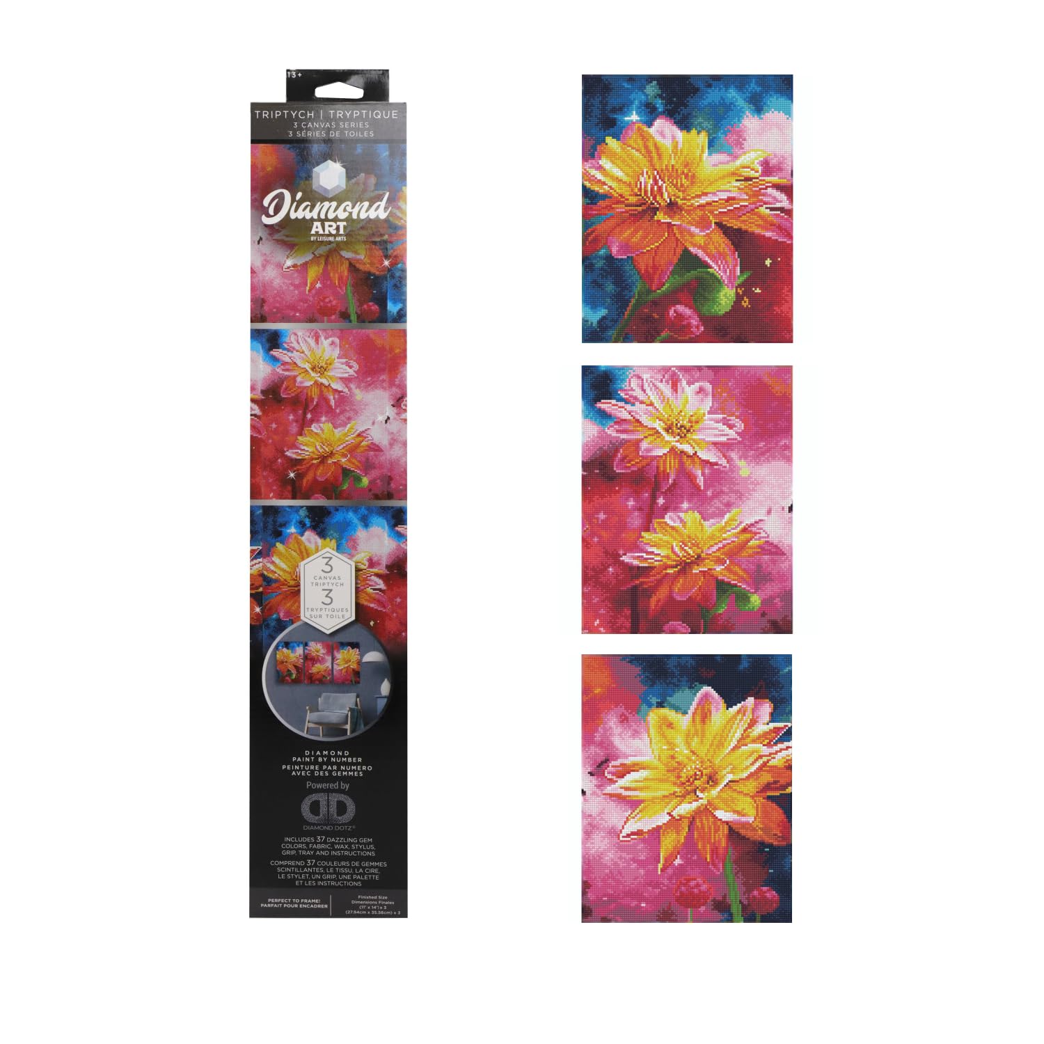 Amazon.com: DIAMOND ART BY LEISURE ARTS Diamond Painting Kits for 