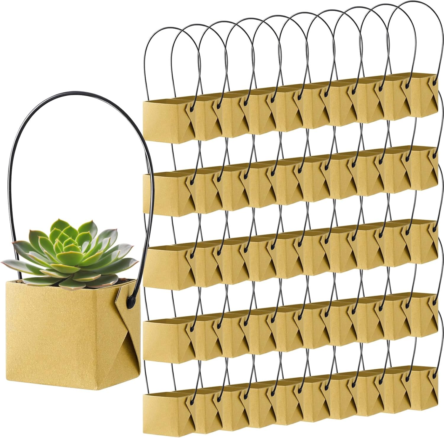 WXYWLIFB 50PCS Succulents Wraps,Succulent Gift Bags with Handles,Mini Kraft Paper Succulent Gift Box Basket for Wedding,Baby Shower,Succulent Plants Party Favors for Guests(Fits 2 Inch Pots)