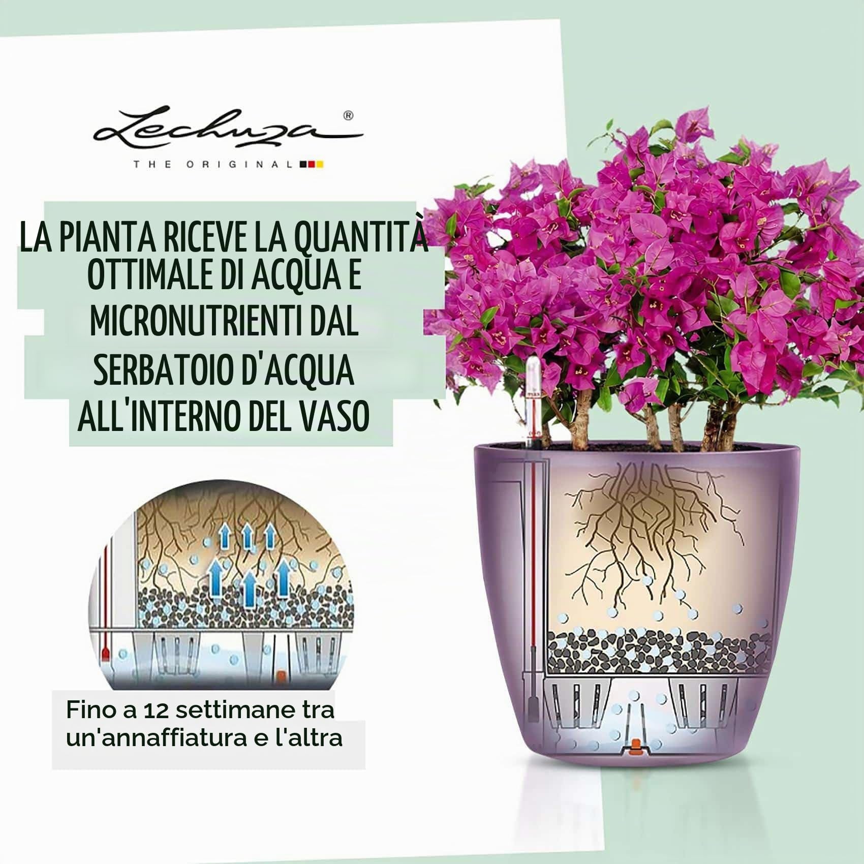 LECHUZA CLASSICO Premium LS 21 antracite metallizzato 16023