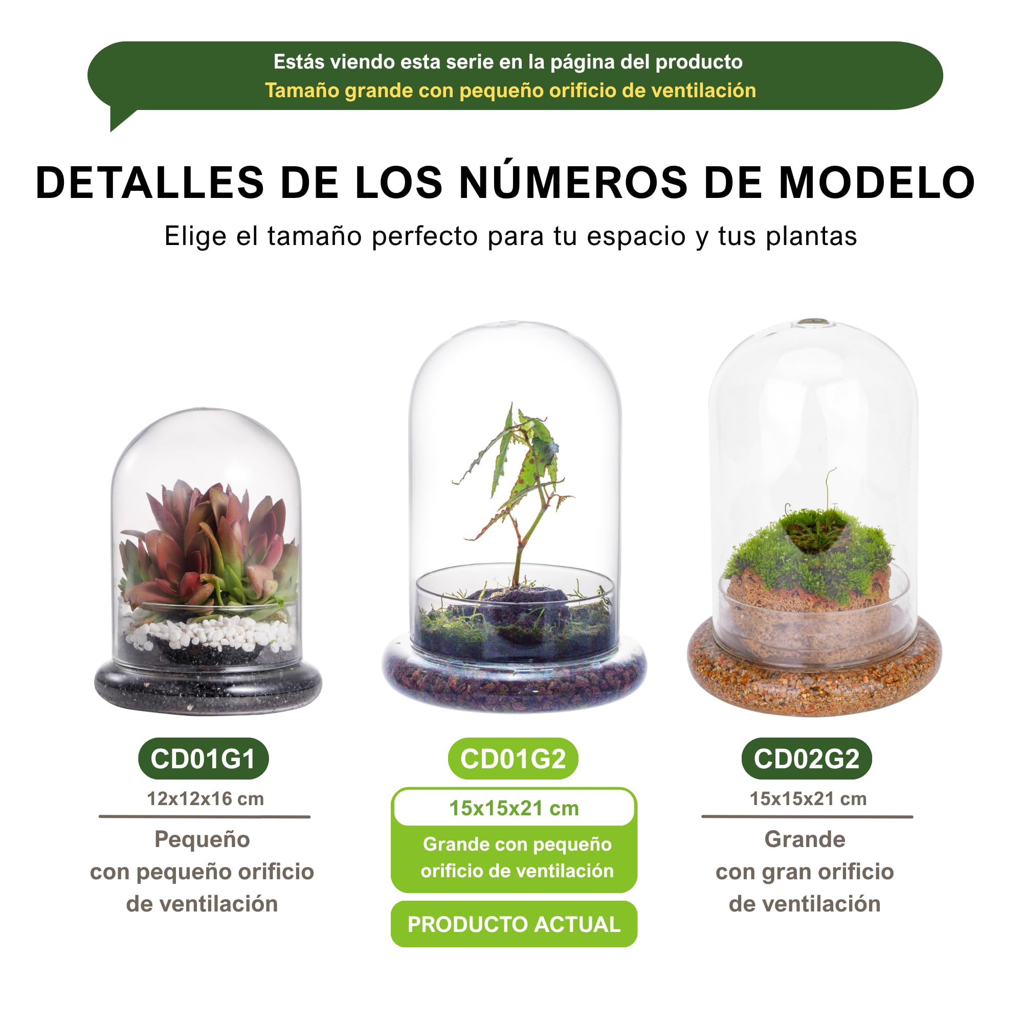 NCYP 15x21 cm Cúpula Decorativa de Vidrio Transparente, terrario de exhibición con Base, Recipiente de Centro de Mesa con Agujero de Aire para Plantas de Flores (Solo terrario, sin Plantas)