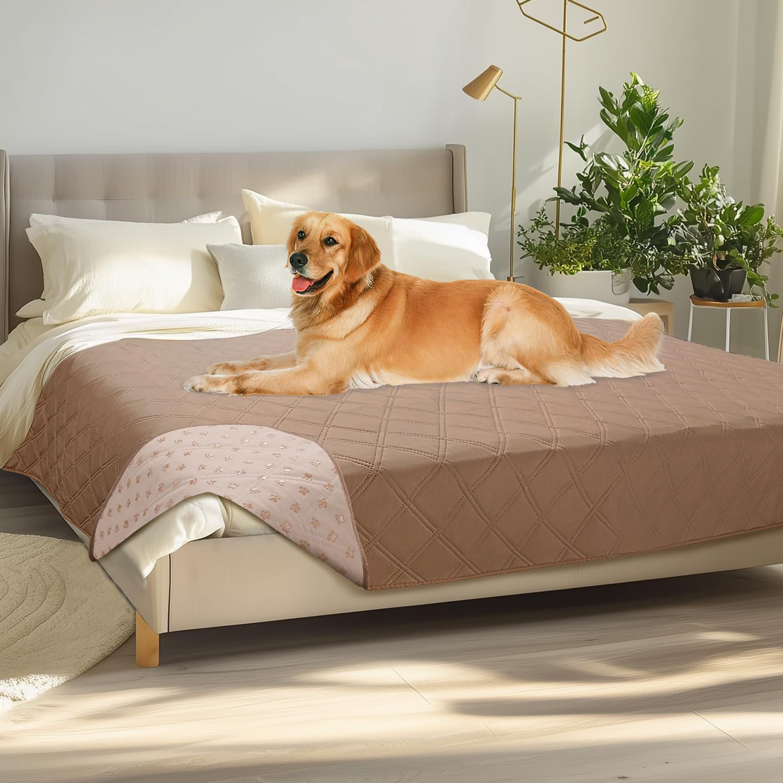 Luciphia 100% Waterproof Couch Cover Blanket for Dogs Anti-Slip Pet Couch Protector Sofa Mat Puppy Cat Blanket with Non-Slip Bottom, Light Brown Khaki, 68x82 Inch