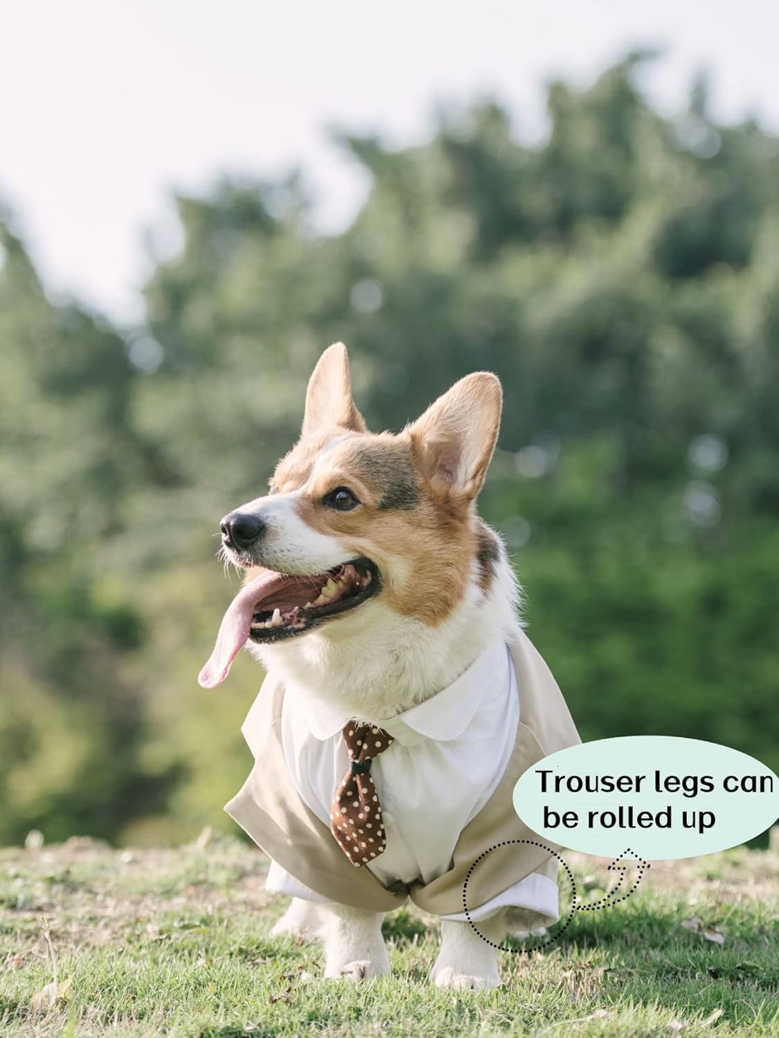 HDKUW Large Dog Wedding Shirt, Dog Tuxedo with Bow Tie, Dogs Wedding Formal Suit, Doggie Prince Gentleman Costume for Medium Large Dogs Khaki 7XL