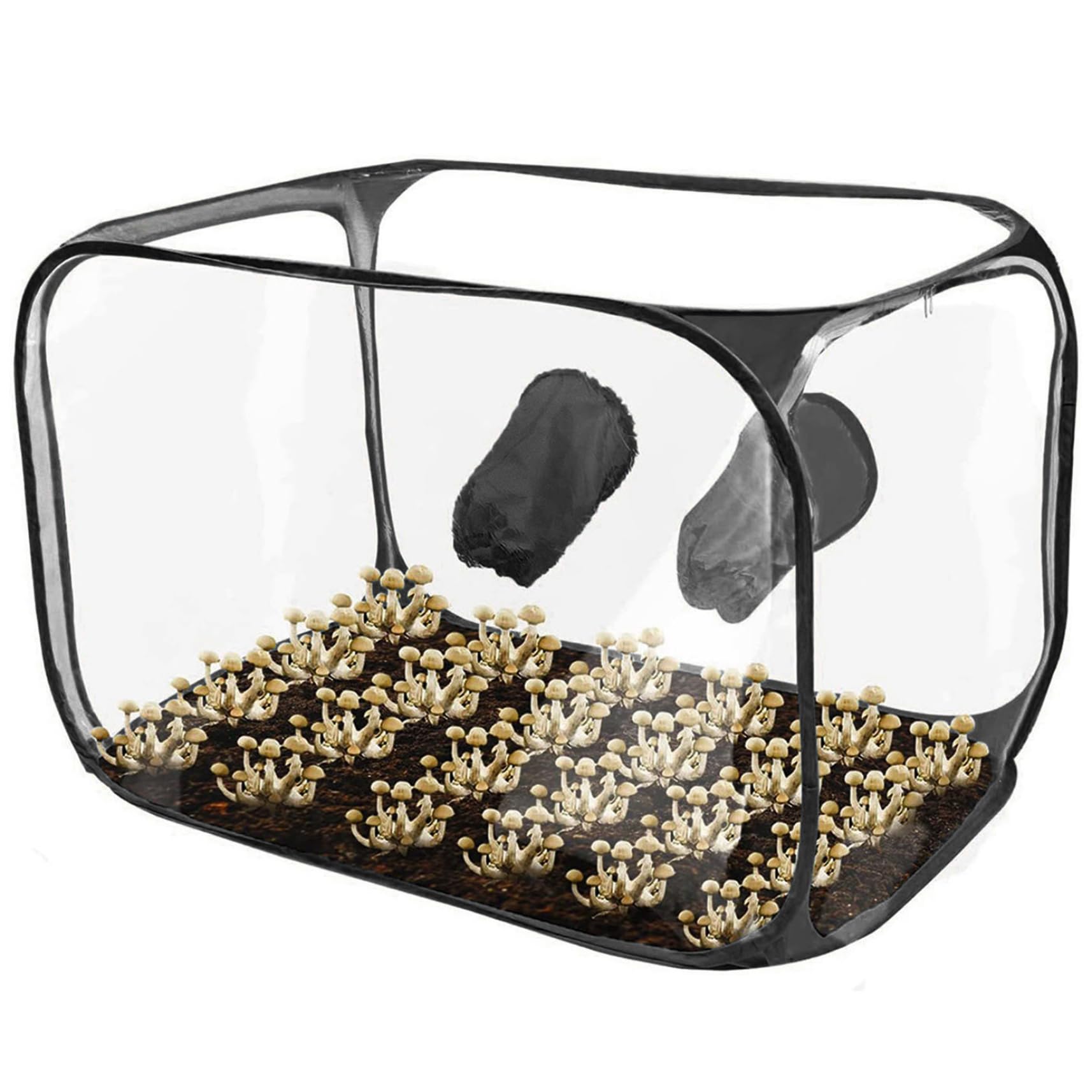 Tente de culture de champignons avec 2 emmanchures pour isoler vos incubations de l'air