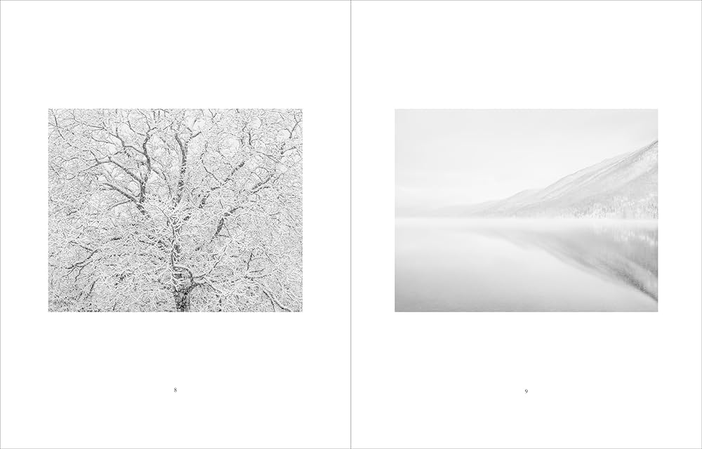jeffrey conley winter 希少　ジェフリーコンリー Amazon.com: Winter: 9781590056004: Jeffrey Conley: Books
