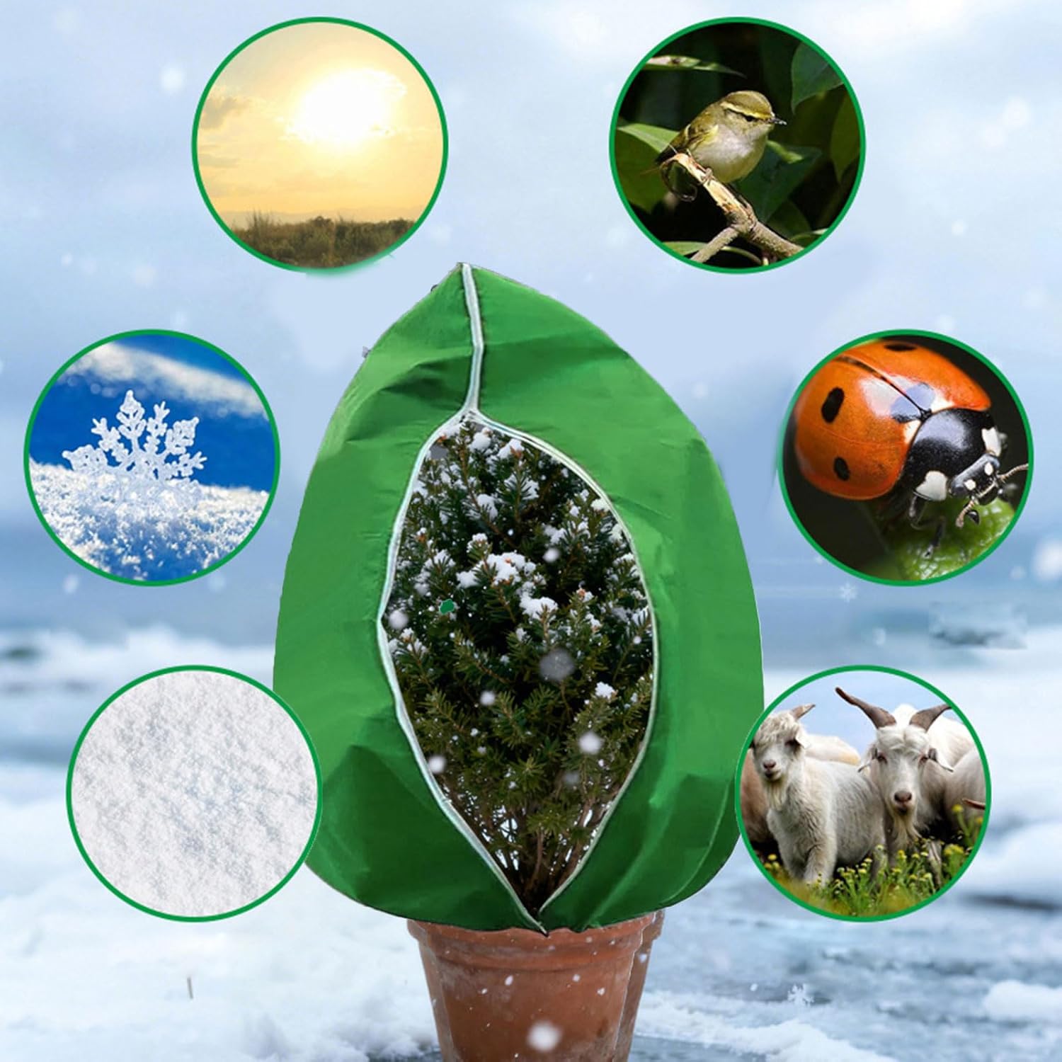 6pack Thick Insulating Plant Cover for Winter Frosts Protecting Breathable Design Easyly Installation Gardens Multipurpose Plant Guard