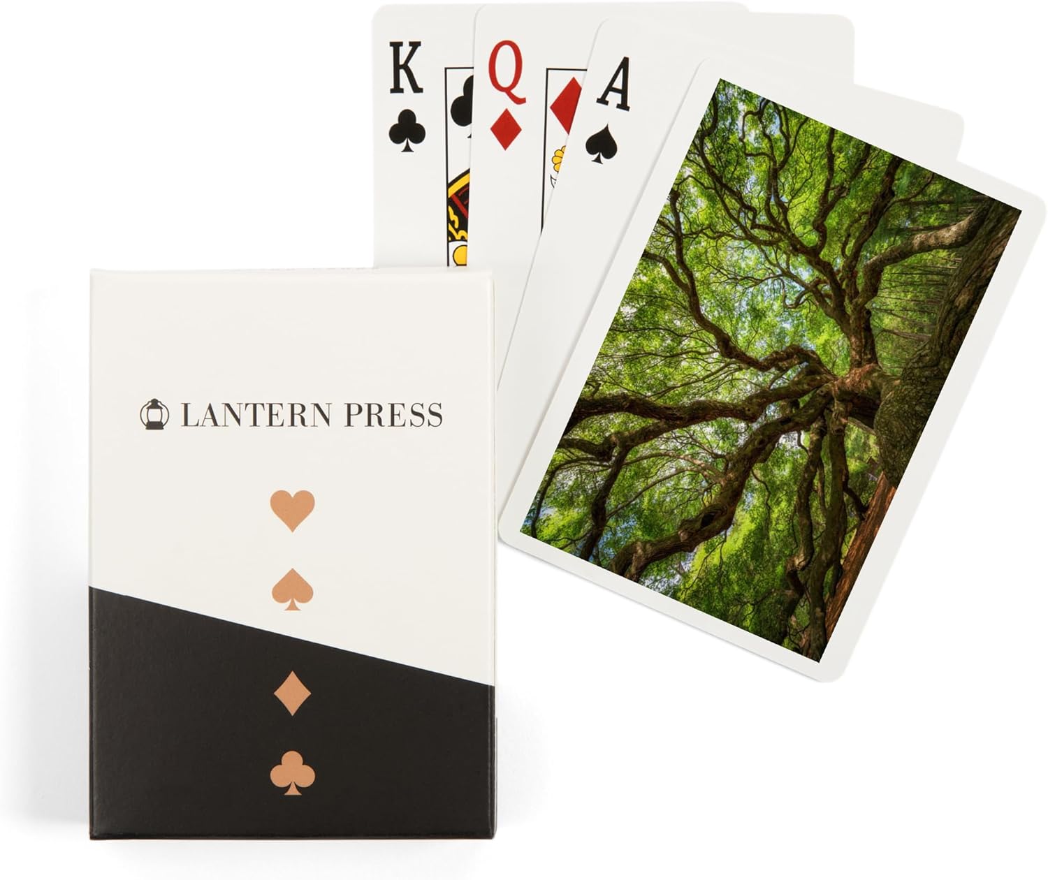Lantern Press Charleston, South Carolina, Angel Oak Tree, Photography A-93040, 52 Playing Cards for Adults, Poker Size Card Deck