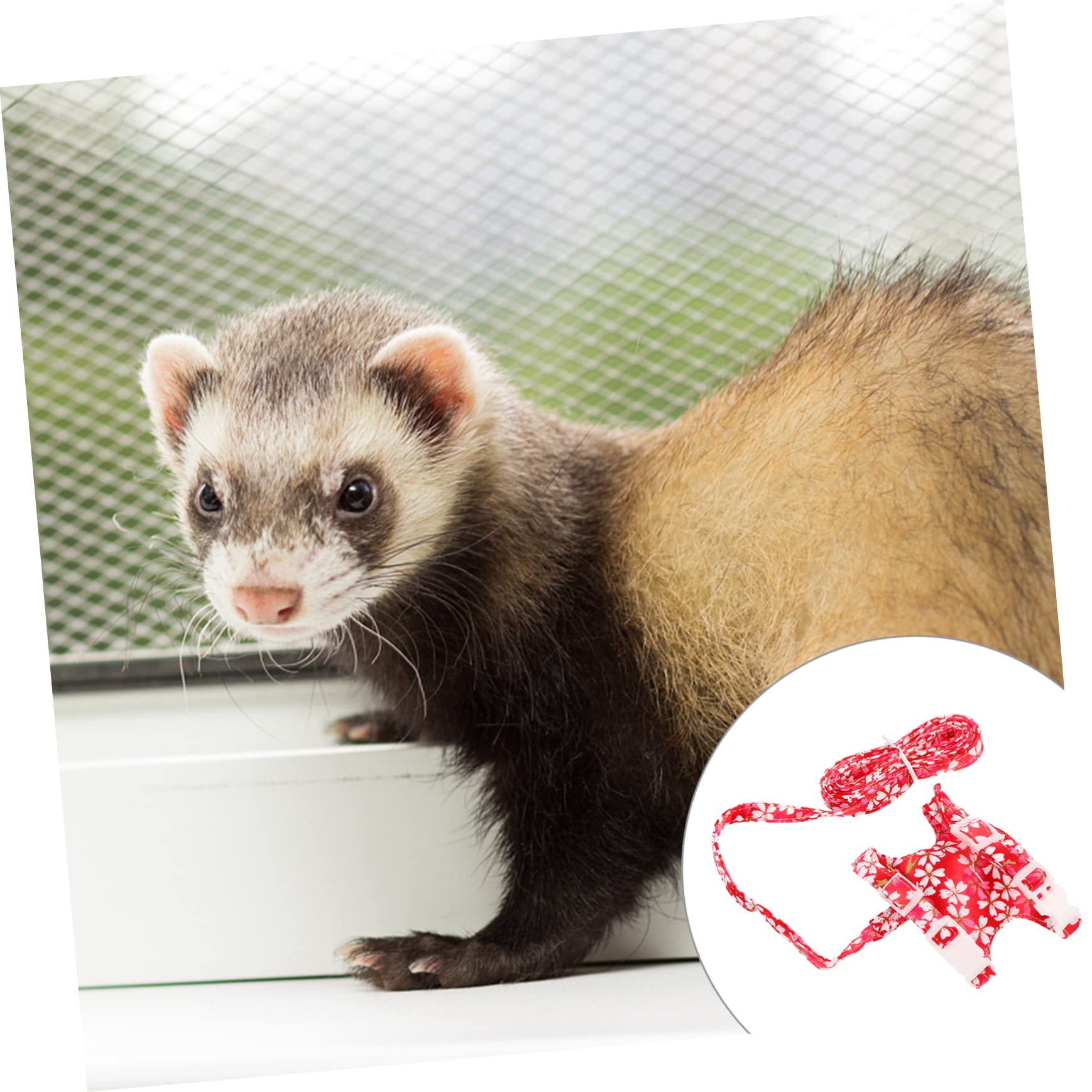 Kisangel 2sätze Kleintiergeschirr Mit Leine Verstellbar Und Atmungsaktiv Für Frettchen Hamster Meerschweinchen Und Kaninchen Komfortabler Tragegurt Für Und Aktive Tage