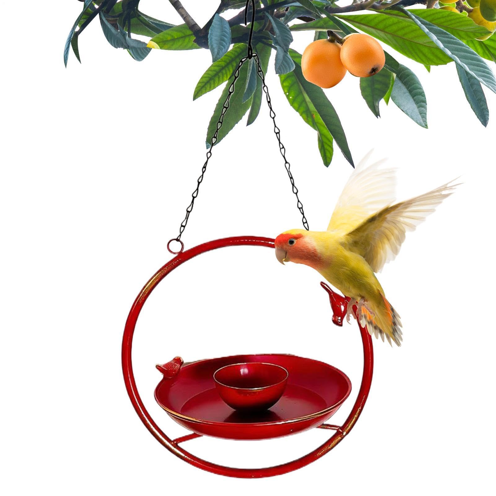 Grande cabane à oiseaux pour balcon et fenêtre : observez la nature depuis votre salon
