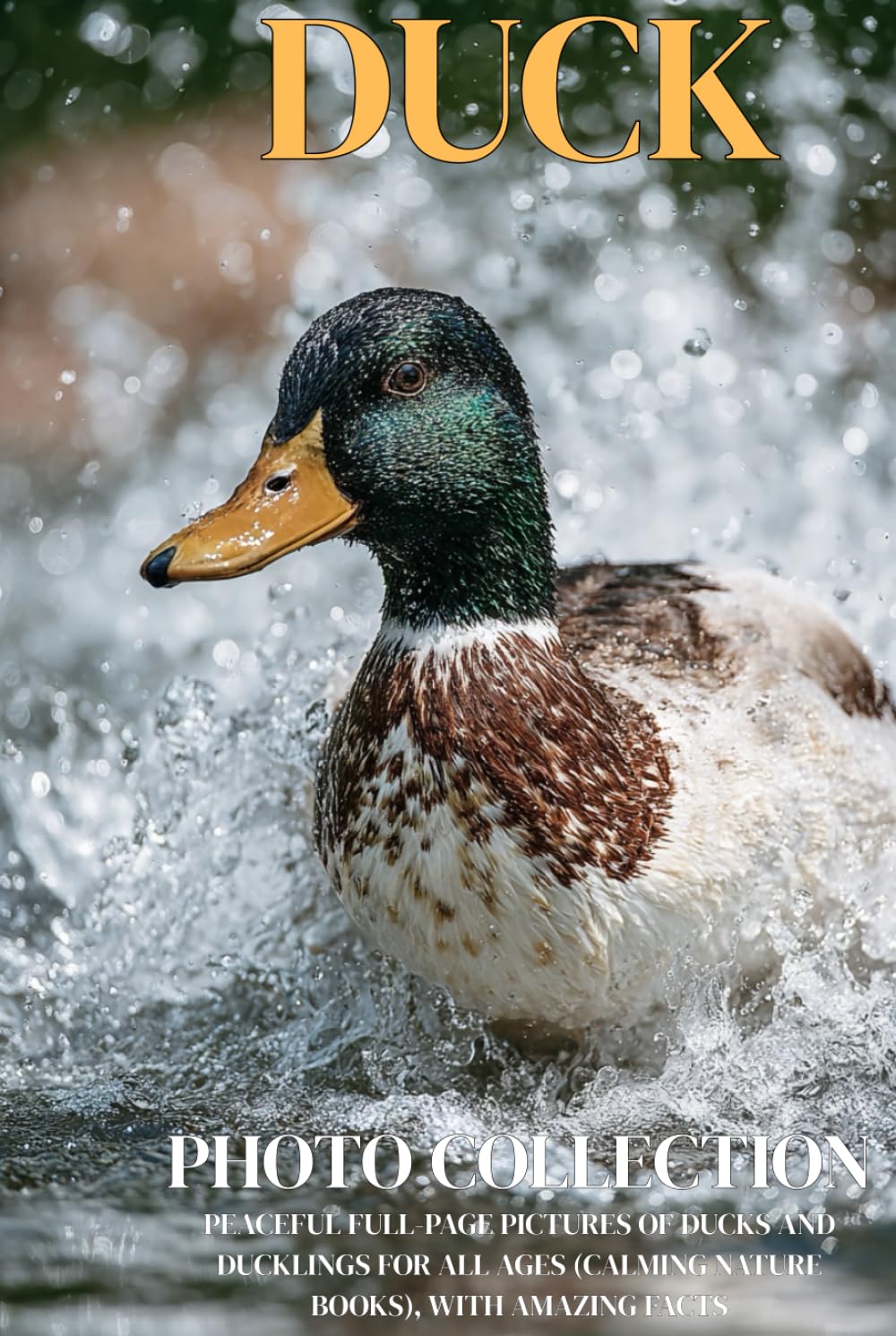 Duck Photo Collection: Peaceful Full-Page Pictures of Ducks and Ducklings for All Ages (Calming Nature Books), with Amazing Facts