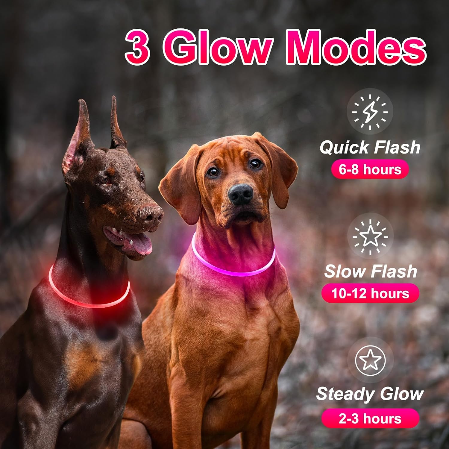 2 Packs Light Up Dog Collar, Kpuplol USB Rechargeable Dog Lights for Night image 3