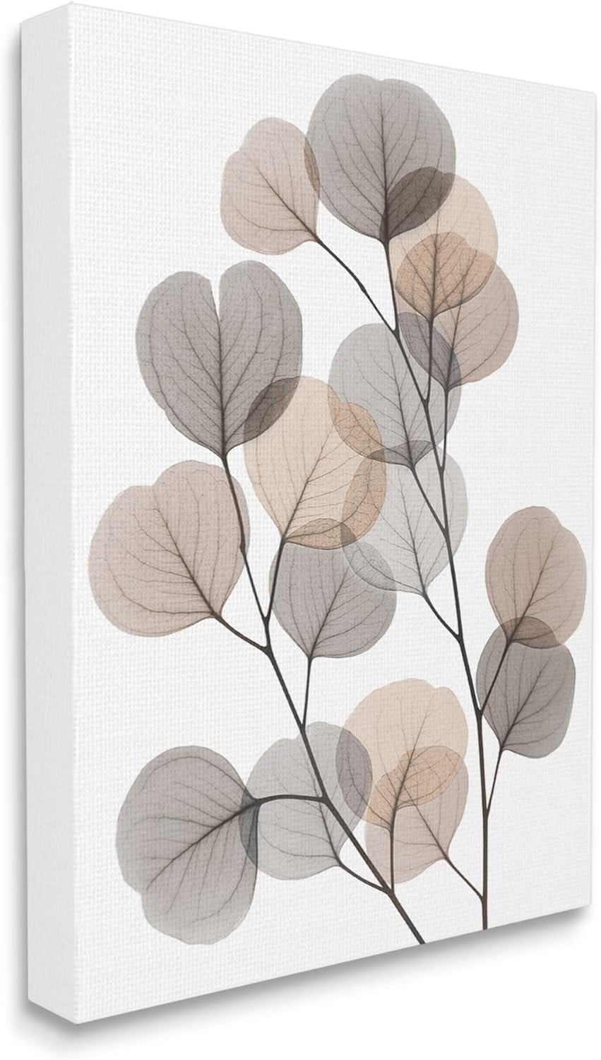 Modern Eucalyptus Leaf Stems Translucent Brown and Grey Canvas Art