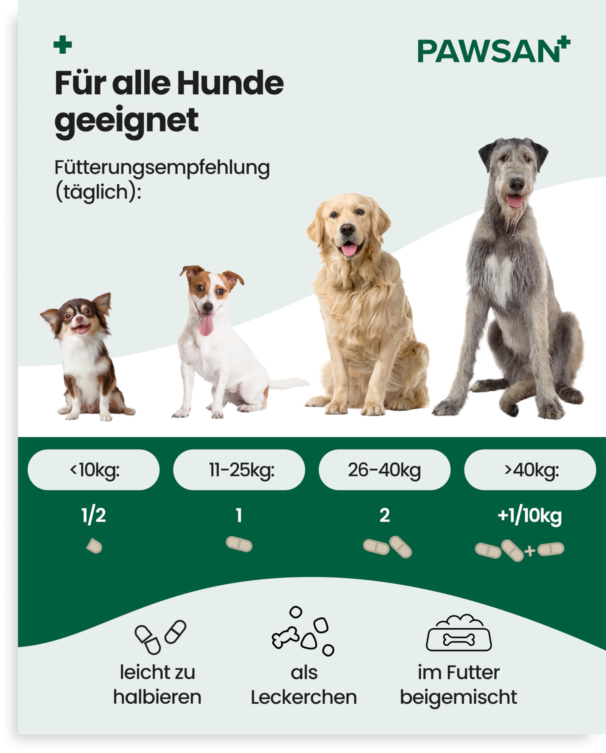 PAWSAN Darmwohl Bio Darmkur Hund – Alternative zu Probiotika – Gras und Kotfresser Drops – Sodbrennen Hund, Durchfall, Blähungen – Darmflora Aufbauen mit Präbiotika – 100 Tabletten Made in Germany