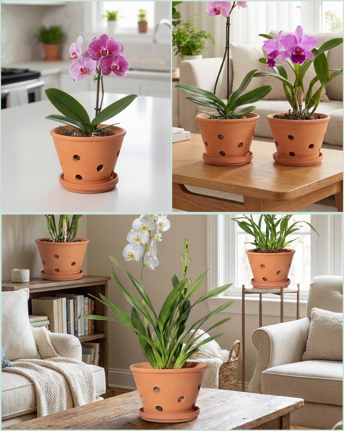 Vensovo Lot de 3 pots à orchidée en terre cuite de 15,2 cm avec trous et soucoupes pour rempotage - Pots de fleurs en terre cuite pour intérieur et extérieur - Favorise la circulation de l'air