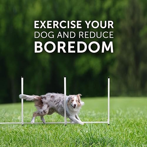 Miniatura 7 de Sporting Dog - Kit de agilidad para principiantes | Kit de agilidad para perros de 5 piezas | Saltos de agilidad | Saltos de neumáticos | Postes