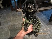 Review Image by gutthans gutthans