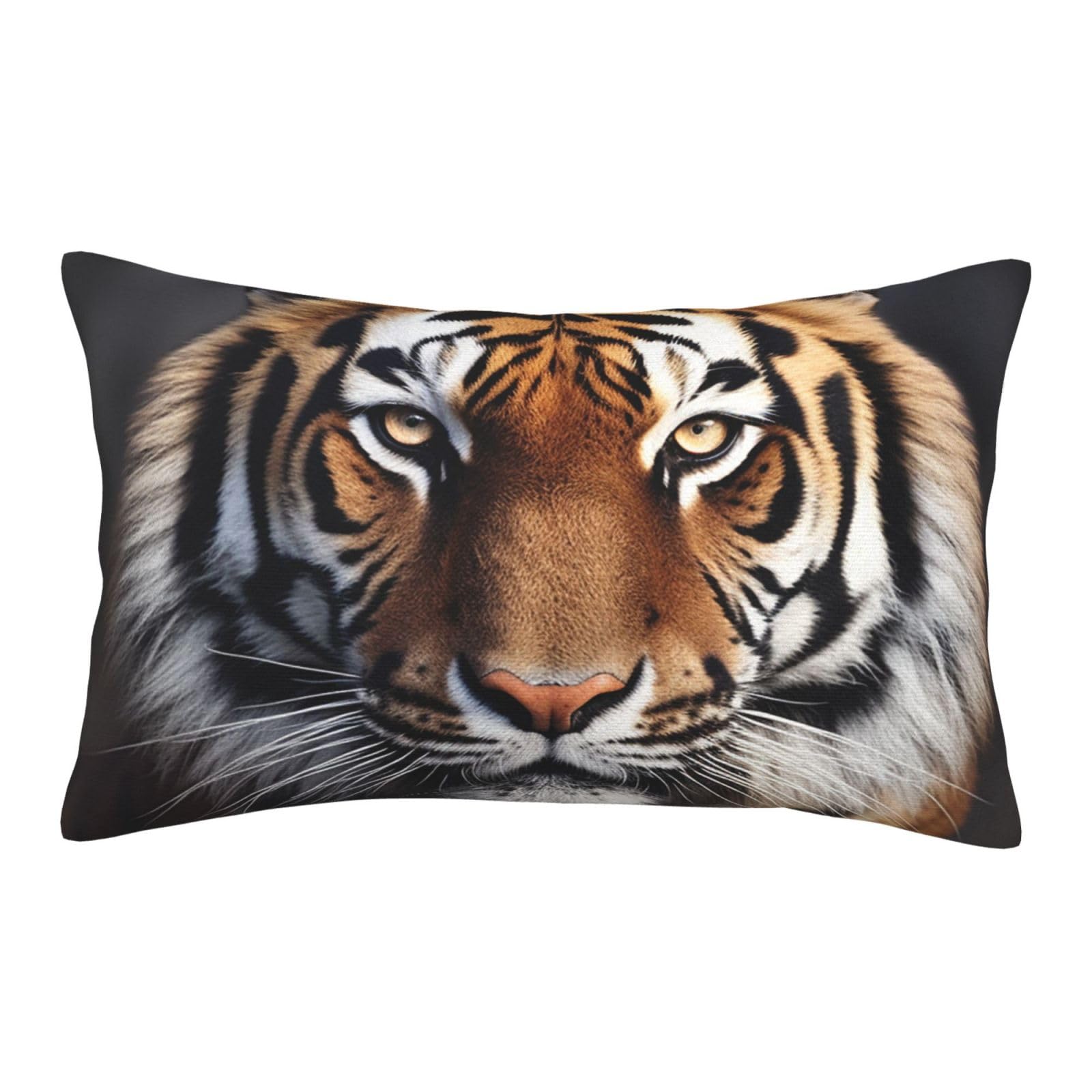 Velvet Pillowcases 16"x24" Ultra Soft Breathable Pillow Cases, Luxury Fuzzy Throw Pillow Covers with Zipper, Tiger Pillow Shams All Seasons Decorative Cushion Cases for Couch