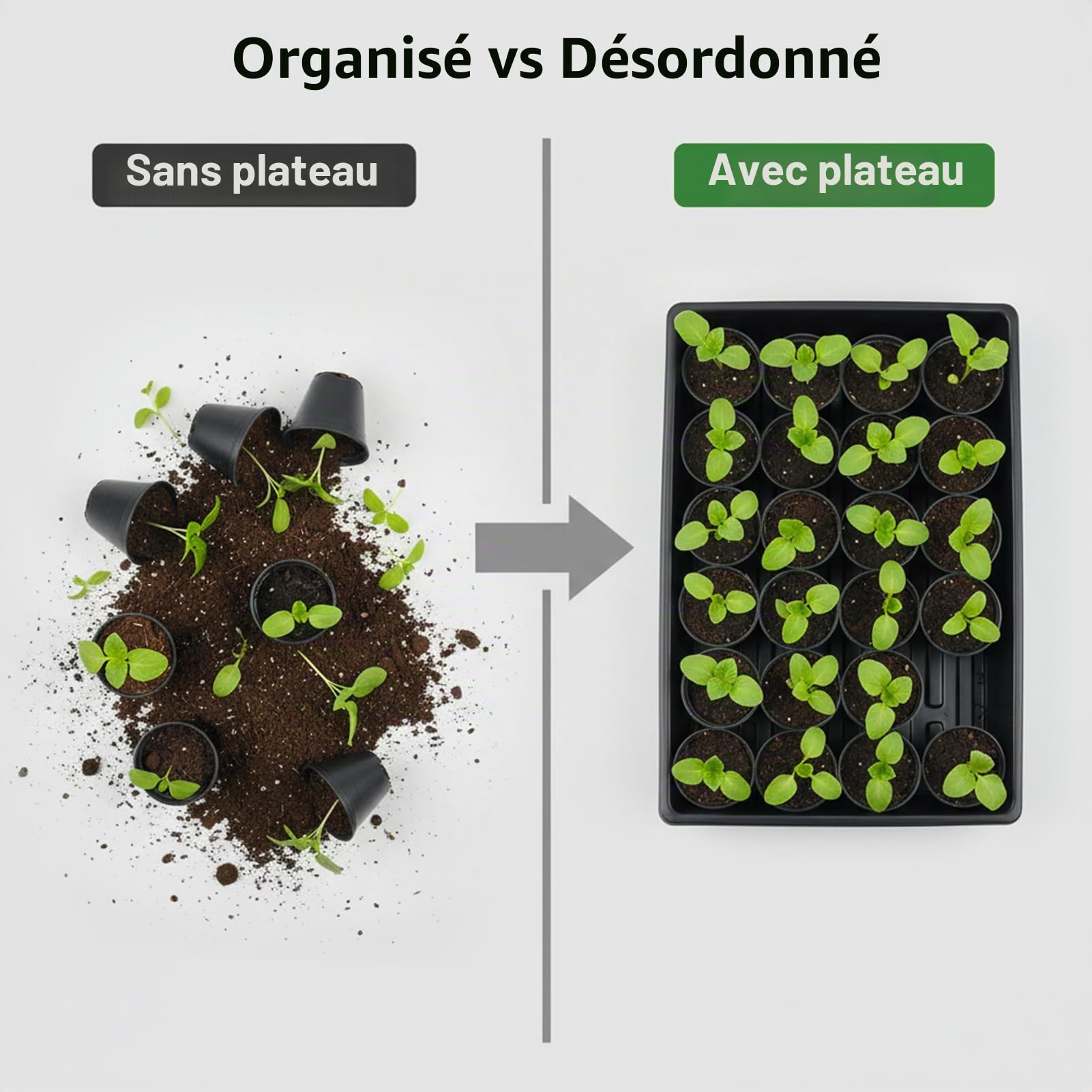 6 Pièce Plateau Semis Réutilisable Plateaux de Culture sans Trous avec Etiquette Semis pour Légume Fleurs Germination Hydroponique Jardin Serre (6, 39x29x6.5cm)