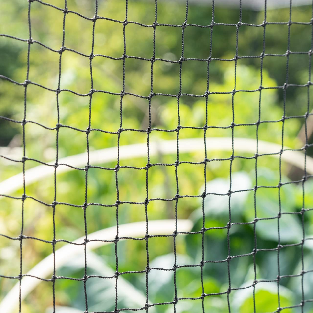 Harrier Fruit & Vegetable Cage Netting – Anti-Bird Netting [4x Sizes] (2m x 4m)