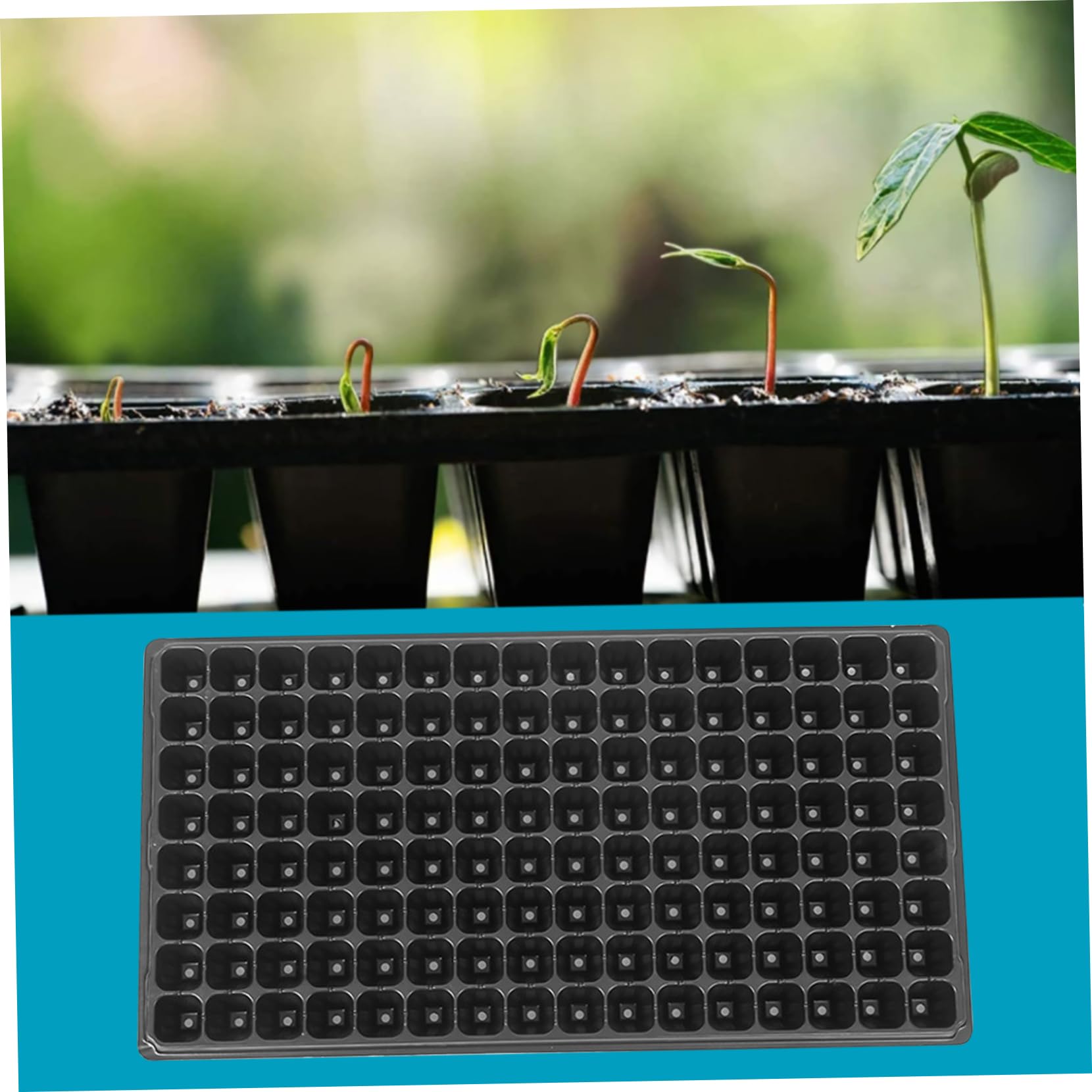 Plateaux de démarrage des graines, Plateaux de démarrage 5pcs Plantes 1.4 semis Profonds Plantation en Plastique réutilisables pour semis 20, 9x11