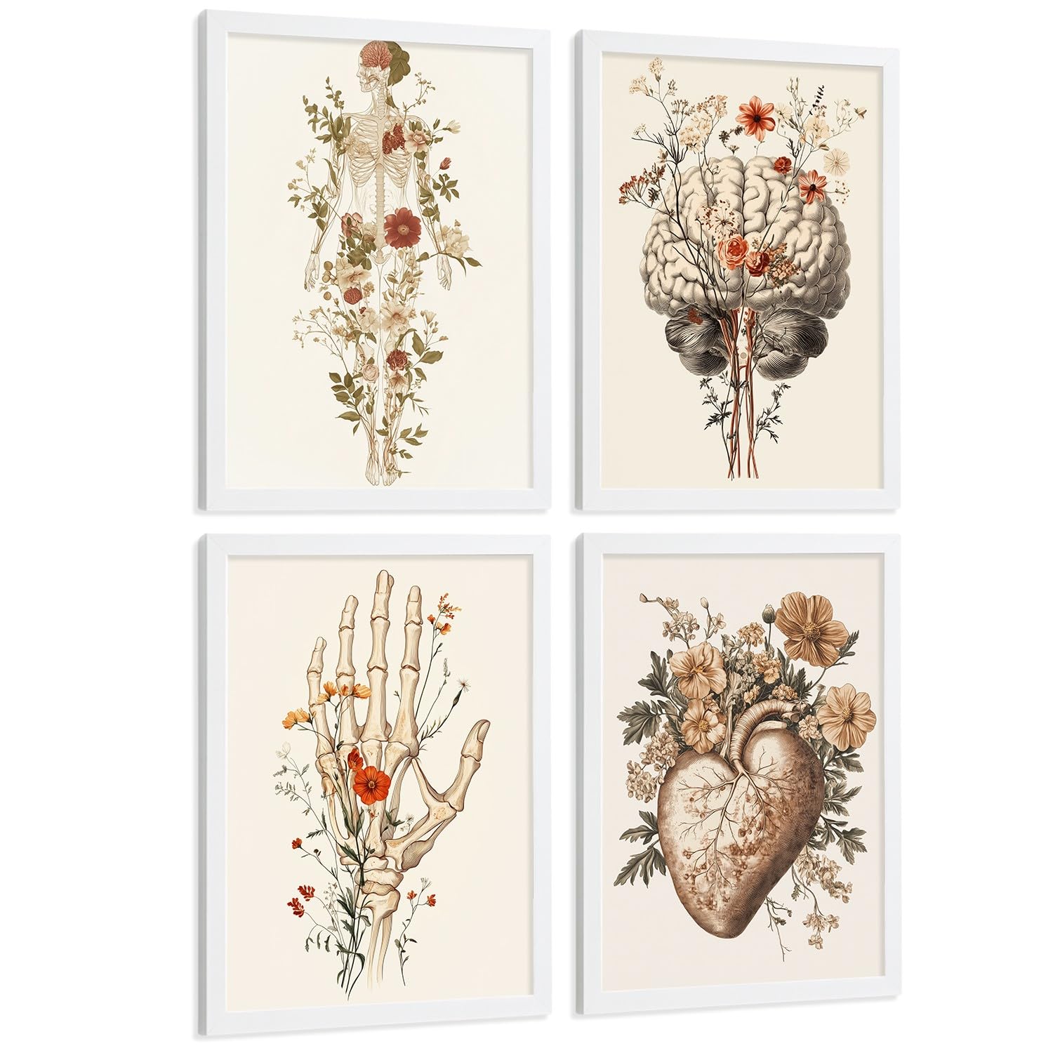 Nacnic Set 4 Posters Decorativos De Anatomía Humana Con Flores Láminas Modernas De Cuerpo Completo Cerebro Mano Y Corazón Tamaño A4 Marco Blanco