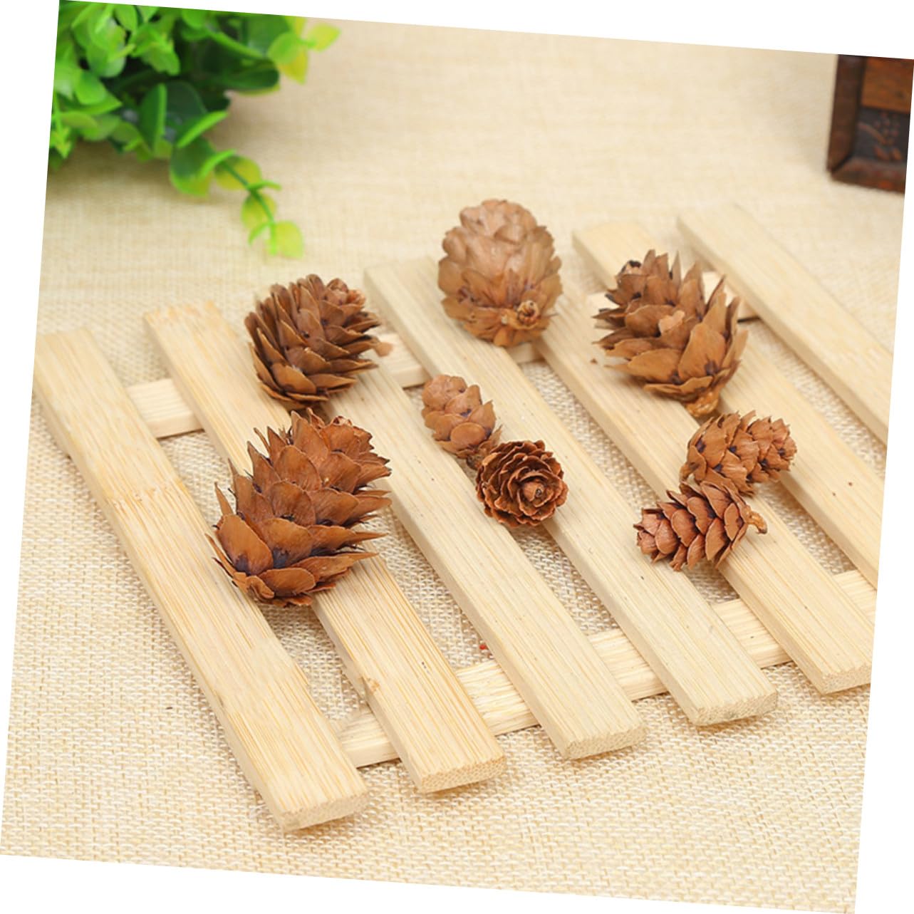 210 Piezas Mini Piñas Naturales para Decoración Navideña y Hogar Rústico Adornos Secos para Manualidades y Otoñal