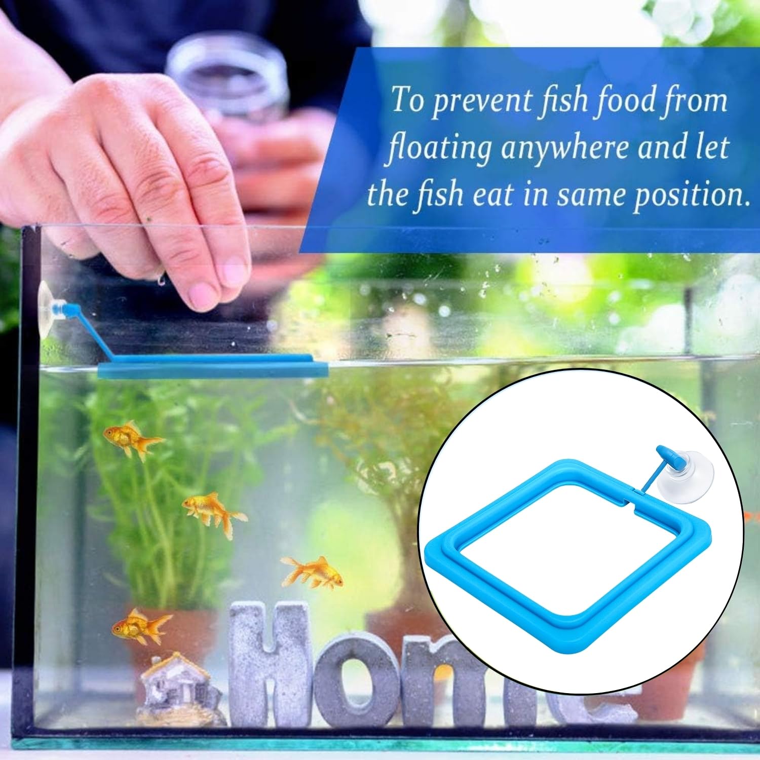 Sage Square Square Floating Feeding Ring for Aquarium | Adjustable Suction Cup Attachment | Prevents Food Scattering | Keeps Aquarium Clean | Floating Food Tray for Flakes, Pellets | All Fish Tanks 3