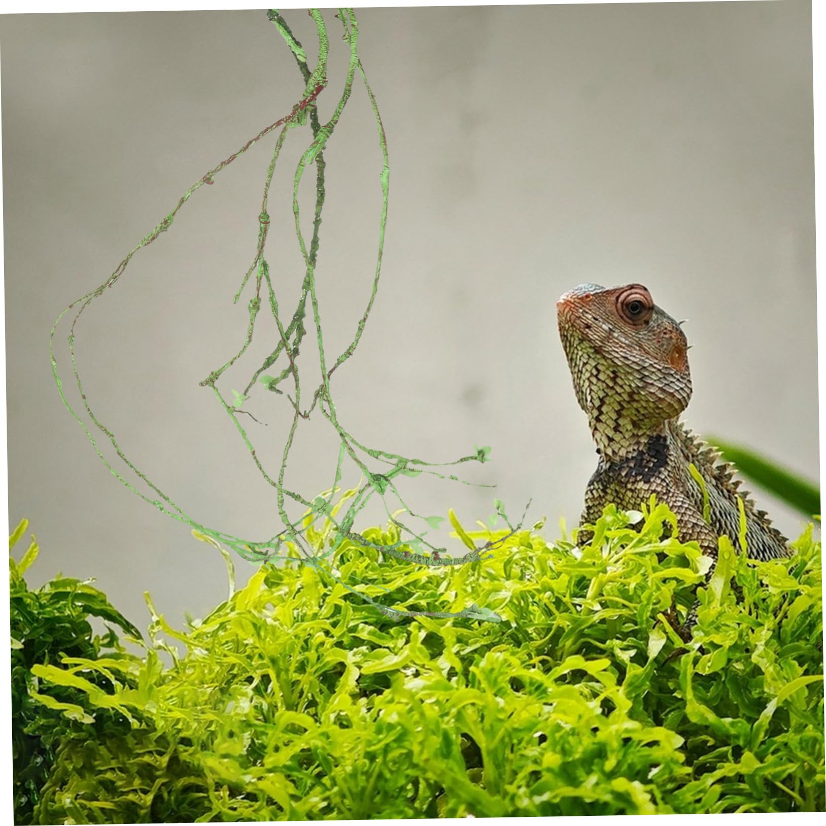 HEMOTON Künstliche Ranke für Reptilien-terrarien Geeignet als Dekoration für Aquarien und Reptilienhabitate Natürliche Optik und Flexible Gestaltungsmöglichkeiten