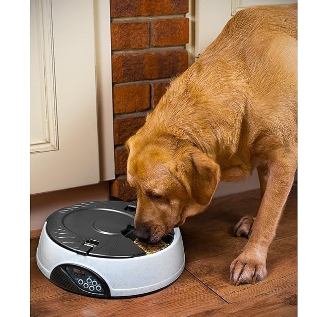 Foto 7 de 7 de PETCUTE Comedero automático de gatos y dispensador de alimentos para mascotas con grabadora de voz (6 comidas…