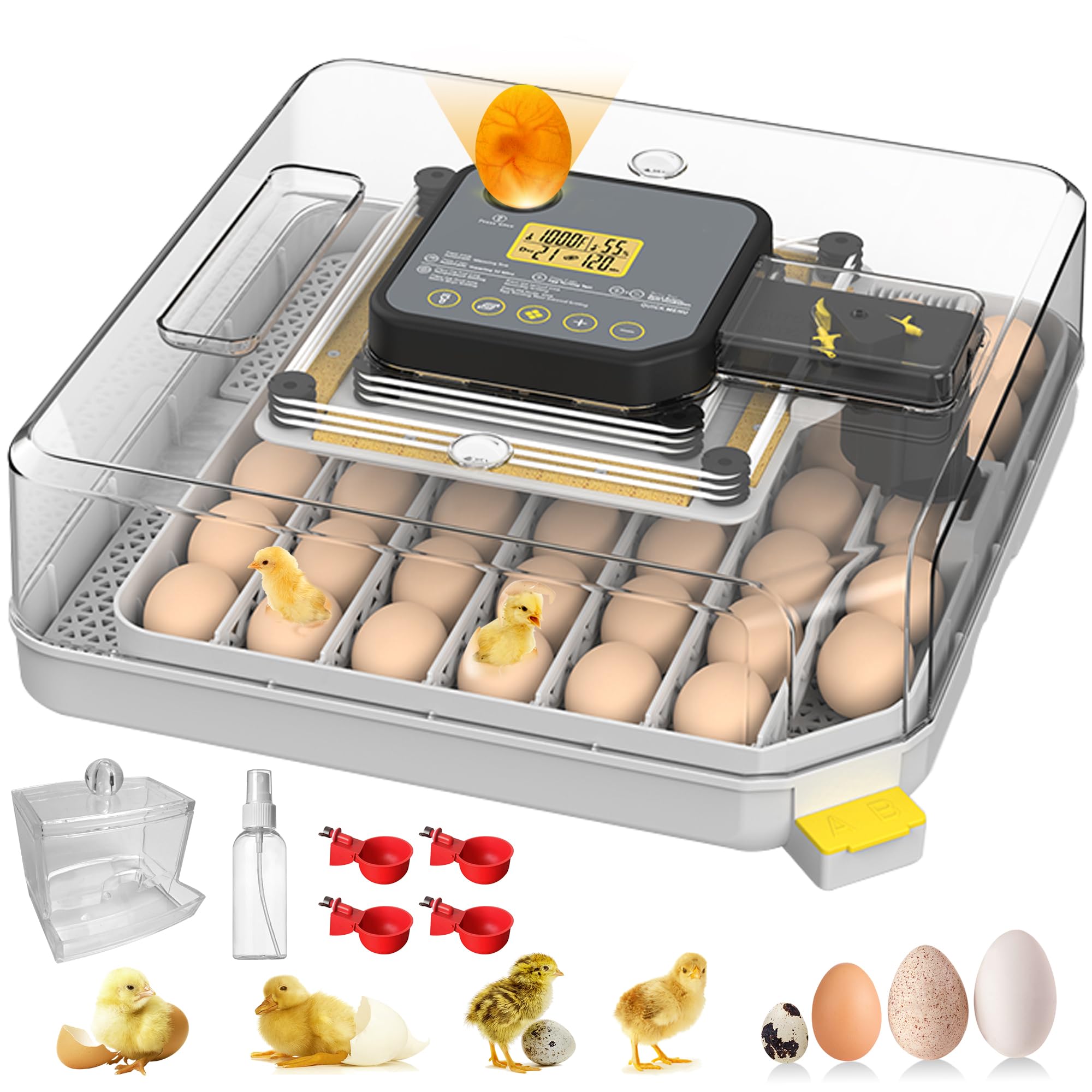 Berea Inventor Designs Battery-Backup Egg Incubator