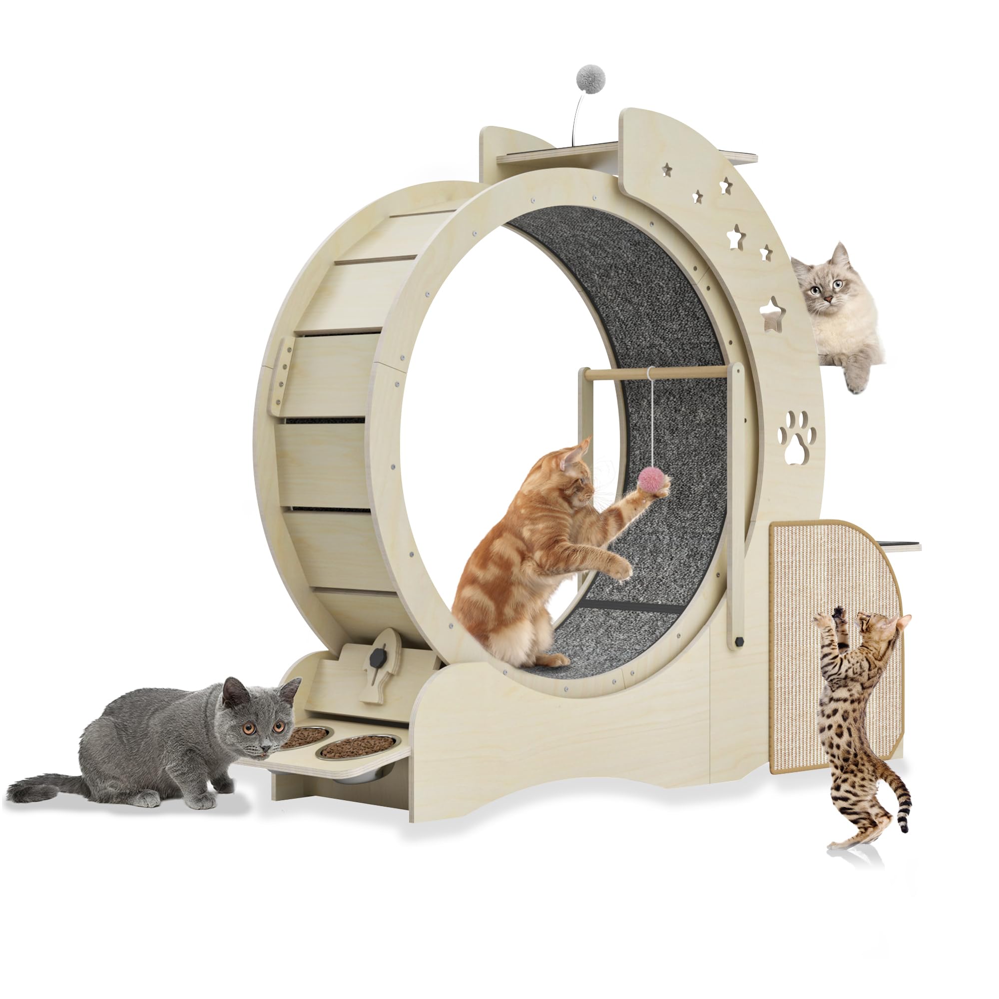 Ruota per Gatti 5 in 1 in Legno Multifunzionale Bloccabile Ruota per Esercizi per Gatti Tiragraffi a Scaletta per Gatti a 3 Livelli con 2 Ciotole Giocattoli Interattivi per Gatti