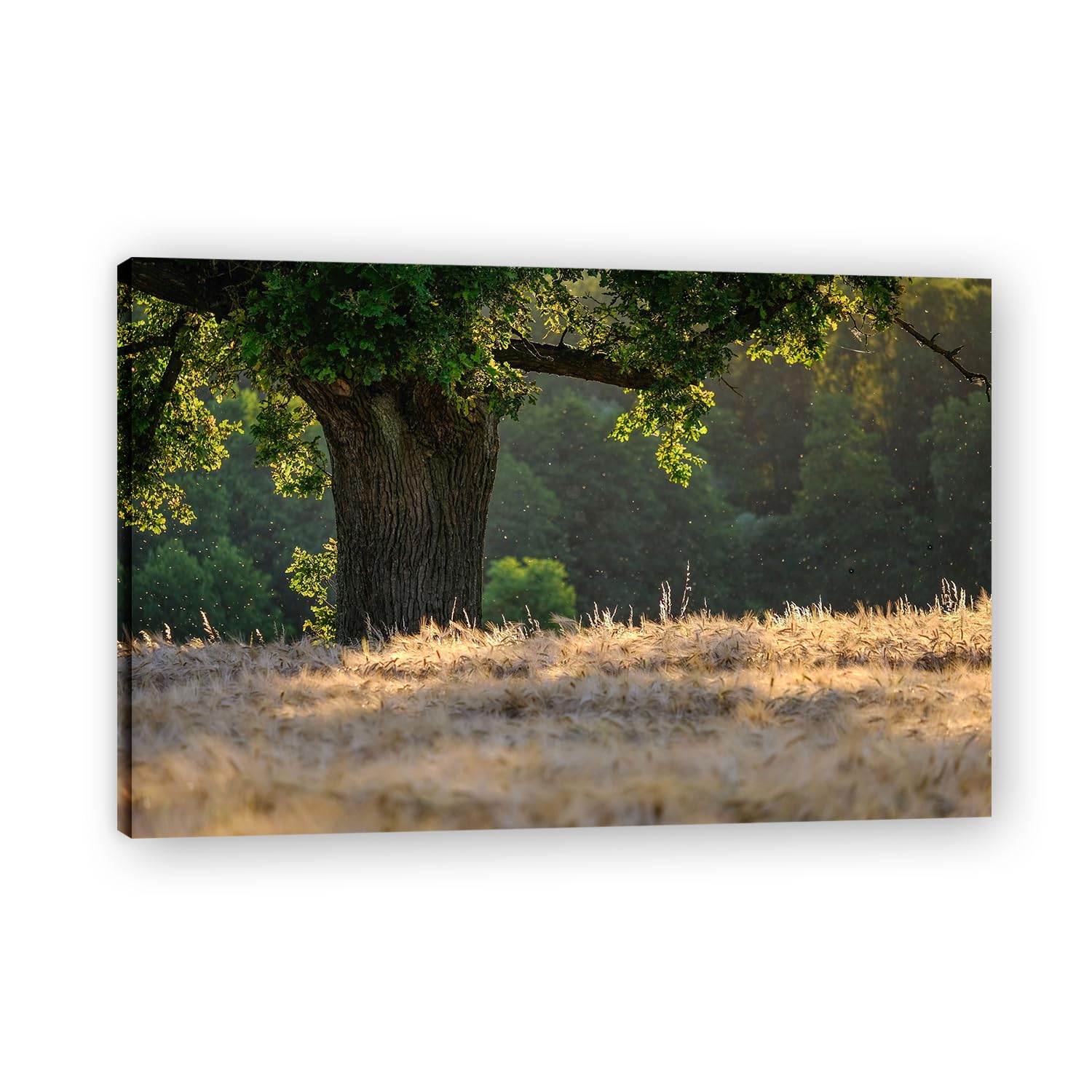 VHdfgTY Sturdy Tree TrunkSerene Mountain Landscape Canvas Wall Art Nature Wall Decor for Home 60x90cm Framed