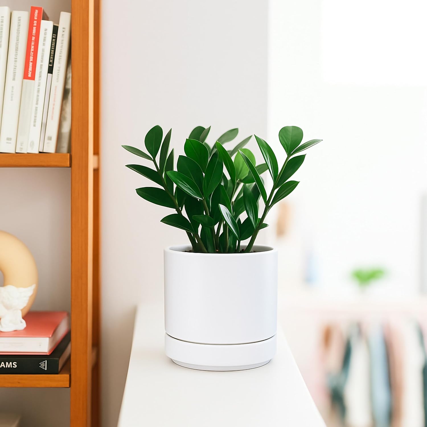 D'vine Dev 4.7 Inch & 6.5 Inch Ceramic Planter Pots for Plants with Drainage Hole and Saucer, Small Plant Pots Set, White, 94-G-S-1 Small White