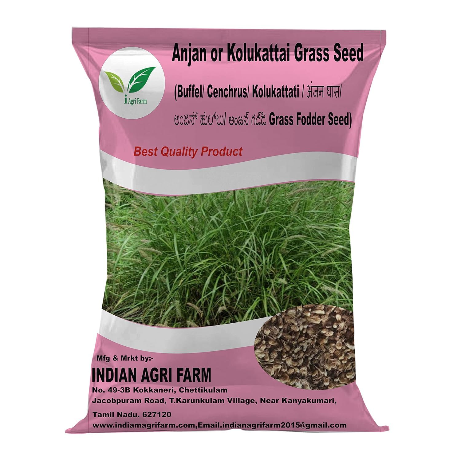 Anjan Grass Seed - 100 gram/Kolukattai/Cenchrus Ciliaris/Buffel/Dhaman Grass Seed for Fodder Cultivation