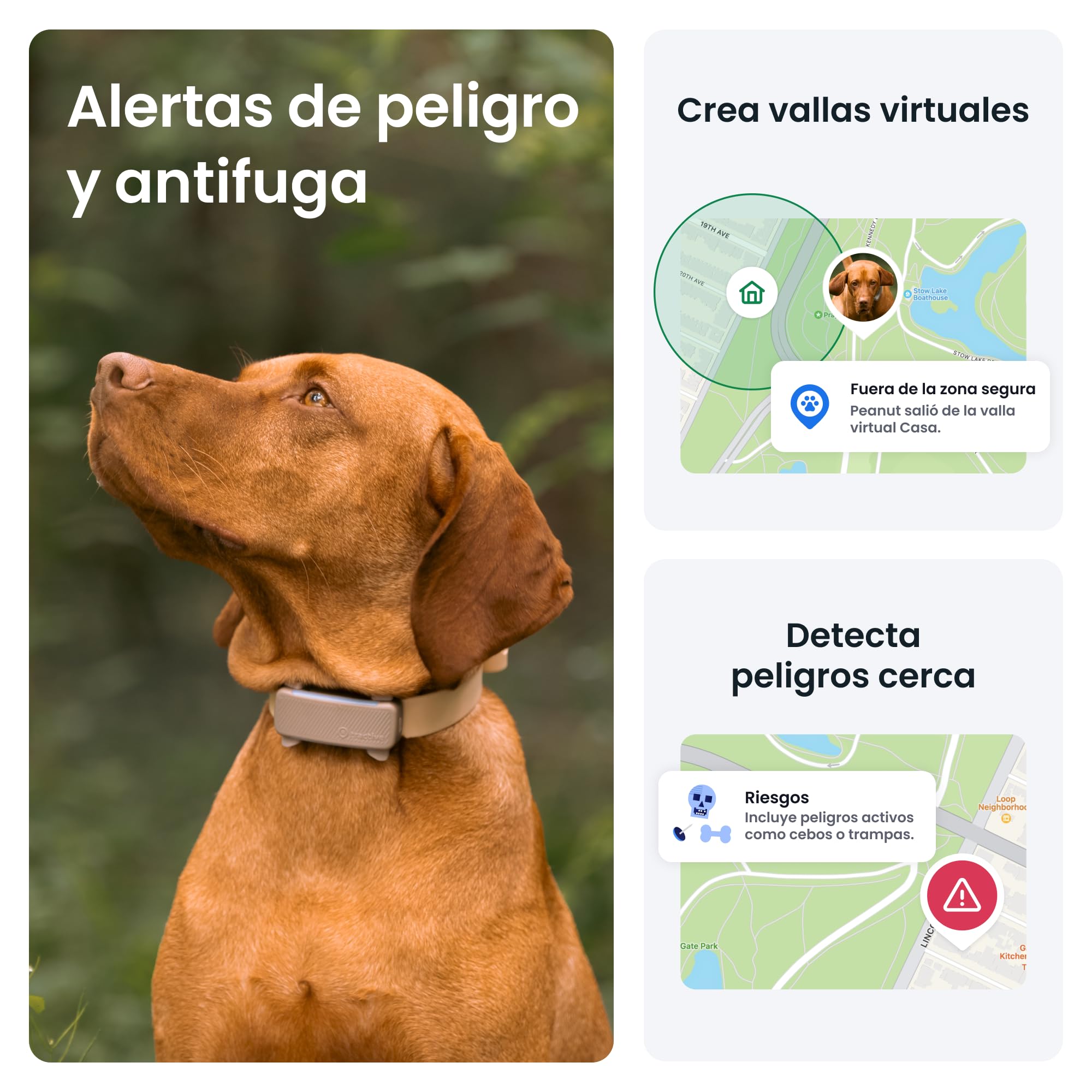 Tractive - GPS perros | 2025 Edición | N.º 1 del mercado | Localización en tiempo real | Alertas antifuga | Monitor de actividad | Avisos de salud | Seguimiento de ladridos (Marrón)