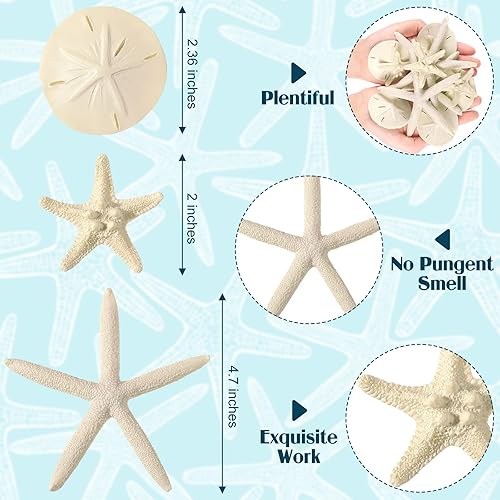 Miniatura 3 de 15 unidades de estrellas de mar y dólares de arena de resina de 2.0 pulgadas, estrellas de mar de 4.7 pulgadas, dólares de arena de 2.3 pulgadas,
