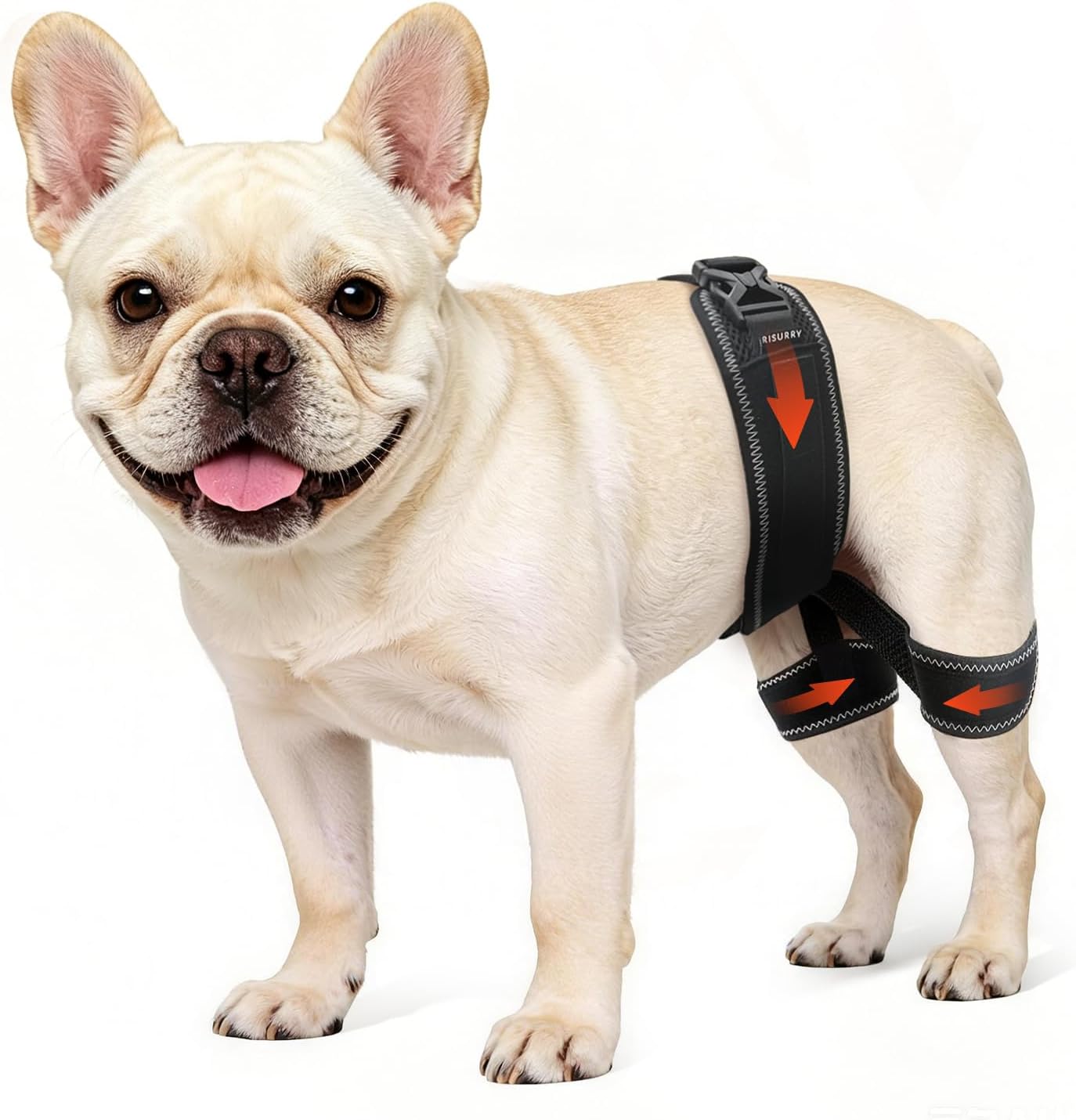 CHAMIN Dog Hip Brace for Hip Dysplasia – Adjustable Support Harness for Dogs, Relieves Joint Pain & Arthritis, Stabilizes Back Legs, Prevents Hip Issues, Orthopedic Support(S)