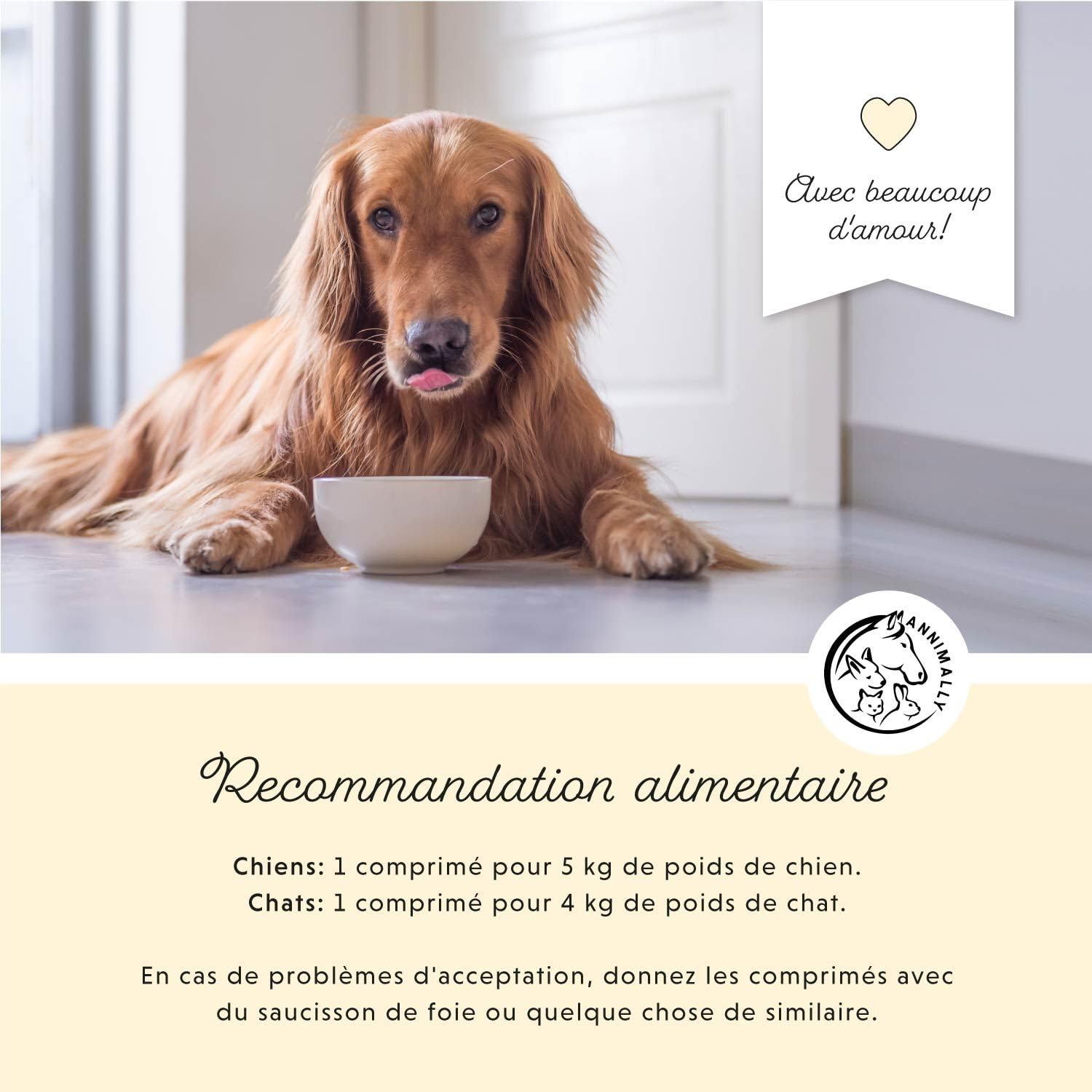 Vitamine B Complex 120 comprimés pour Chien et Chat : Vitamine B1, B2, B3, B5, B6, B9, B12 - Vitamines et compléments pour Chiens et Chats - Vitamine pour Chien - Vitamine Chat