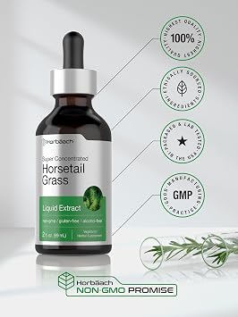 Horbaach Horsetail Herb Liquid Extract | Alcohol Free | 2 fl oz | Vegetarian, Non-GMO, Gluten Free Supplement
