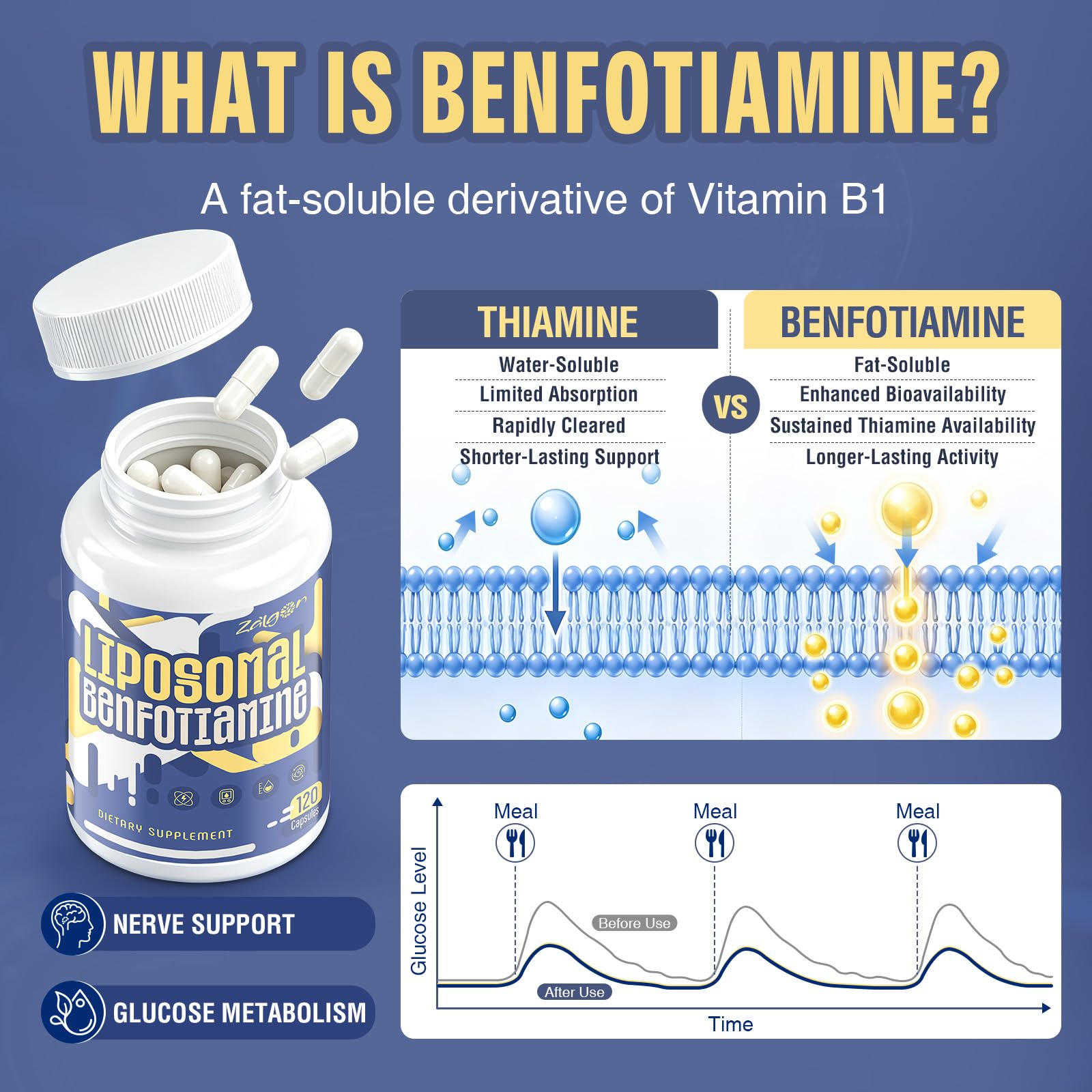 Liposomal Benfotiamine Vitamin B1 Thiamine Supplement 600mg - Glucose Metabolism & Nerve Support (120 Capsules) — Amazon image 4