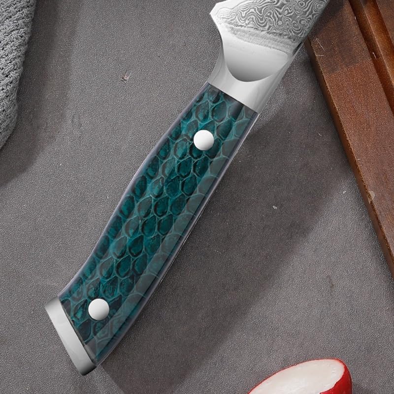 Meat Cleaver,Cleaver Knife 6.5 Inch Boning Knife 67 Layer Damascus Steel Blade Sharp Chefs Cleaver Steak Barbecue Kitchen Knives Resin Handle Cooking Tools