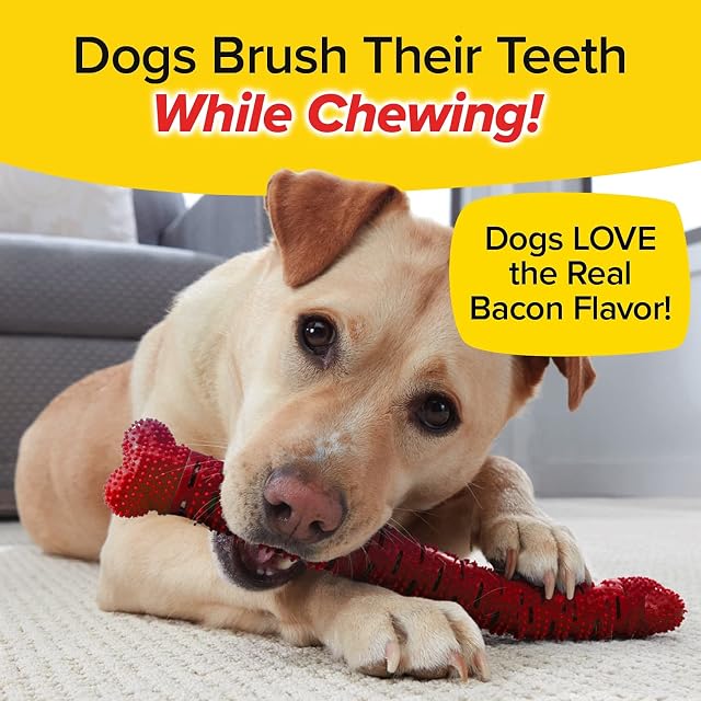 Foto 2 de 8 de BulbHead Bonanza - Cepillo de dientes impregnado con sabor a tocino real, para masticar perros, placa…