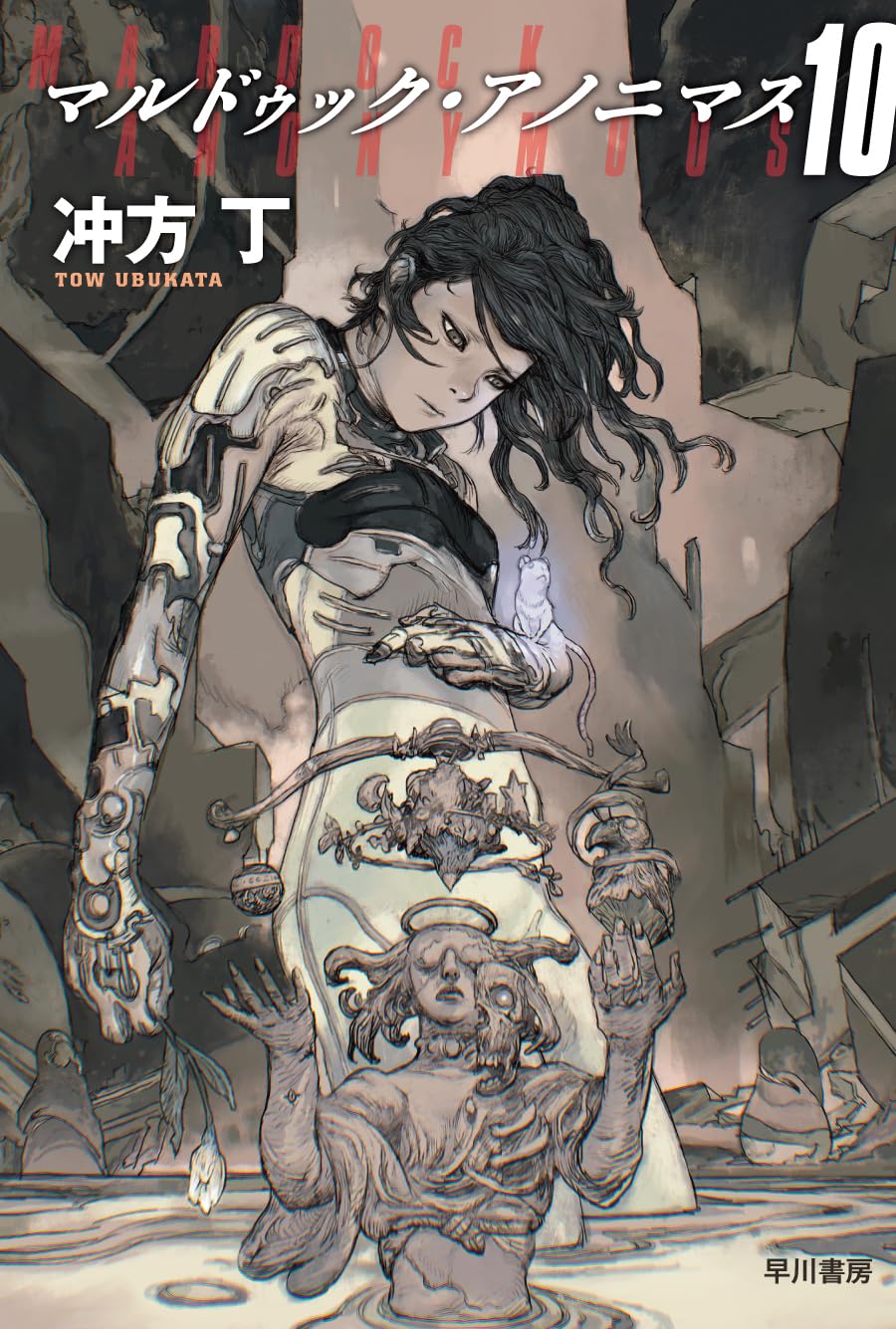 Amazon.co.jp: マルドゥック・アノニマス 10 (ハヤカワ文庫JA) : 冲方
