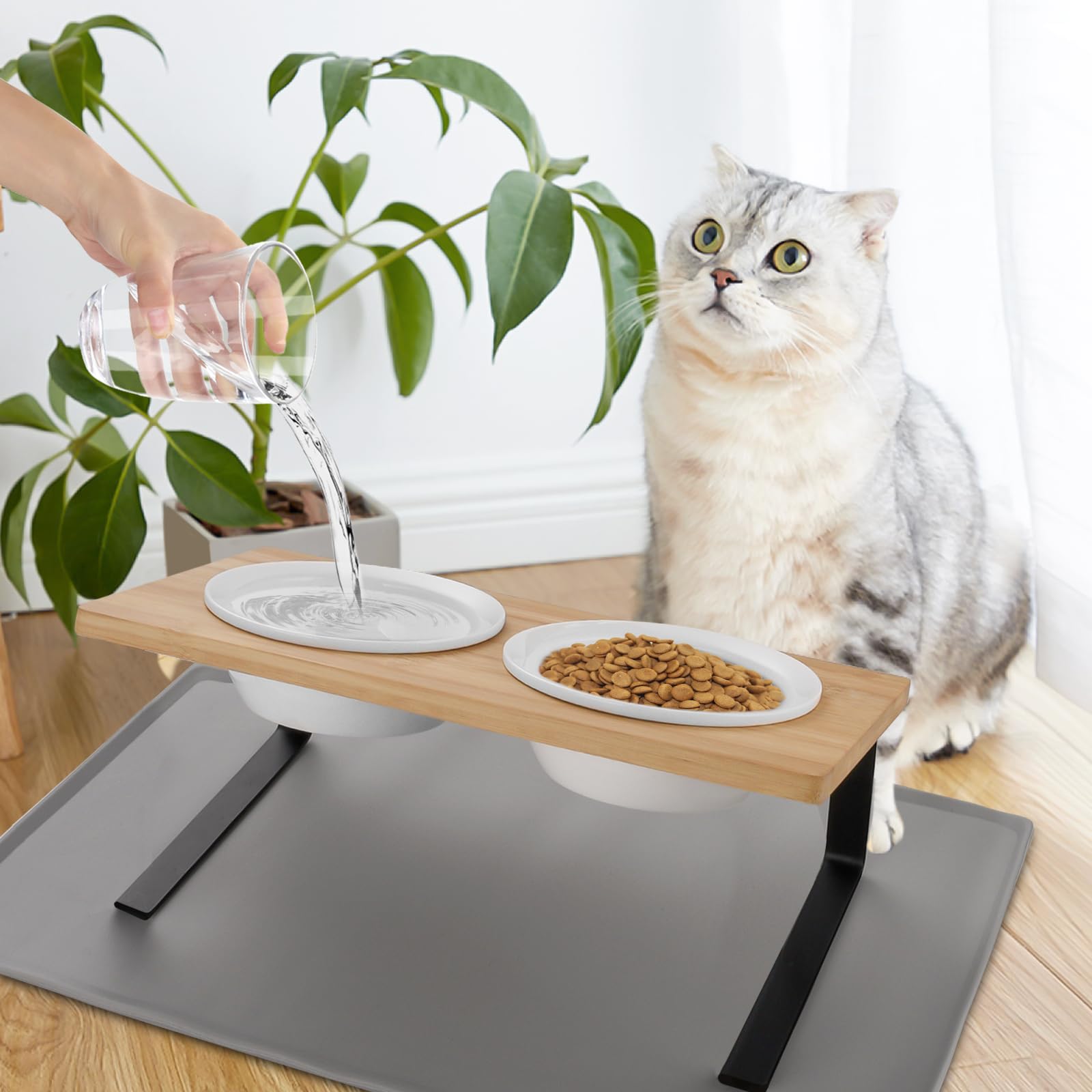 Lannvan Gamelle Chat Surélevée - Bol Ergonomique en Céramique avec Tapis Lavable pour Chat et Chien - 350ml par Bol