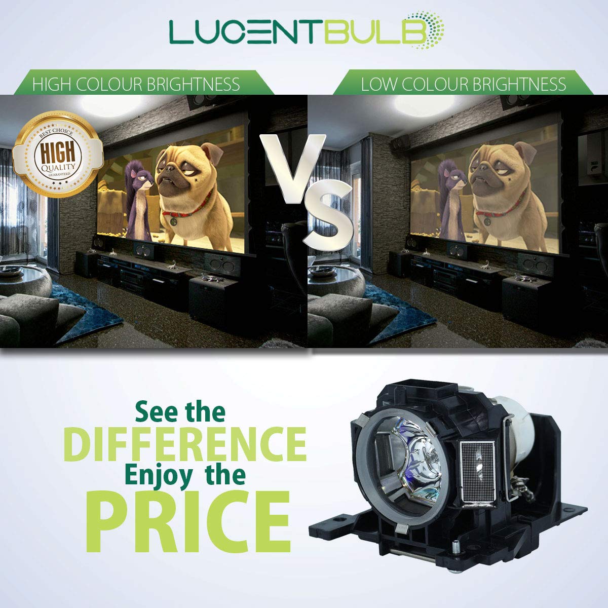 for Hitachi DT00893 Lamp Catridge by LucentBulb fits CP-A200 CP-A52 ED-A10 ED-A101 ED-A111 ED-A6 ED-A7 HCP-A7